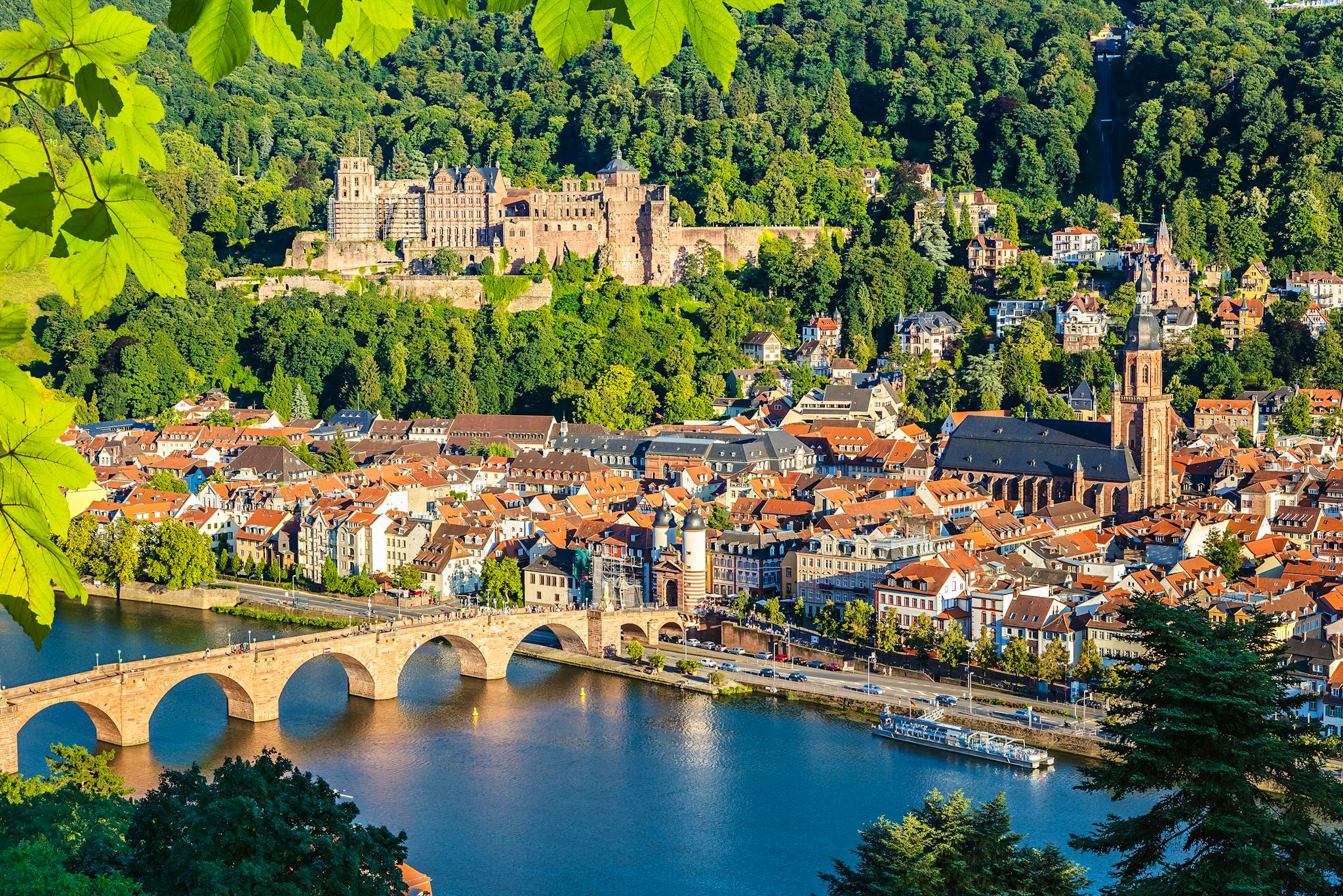 Frankfurt to Heidelberg: Private day trip