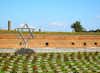 Terezin