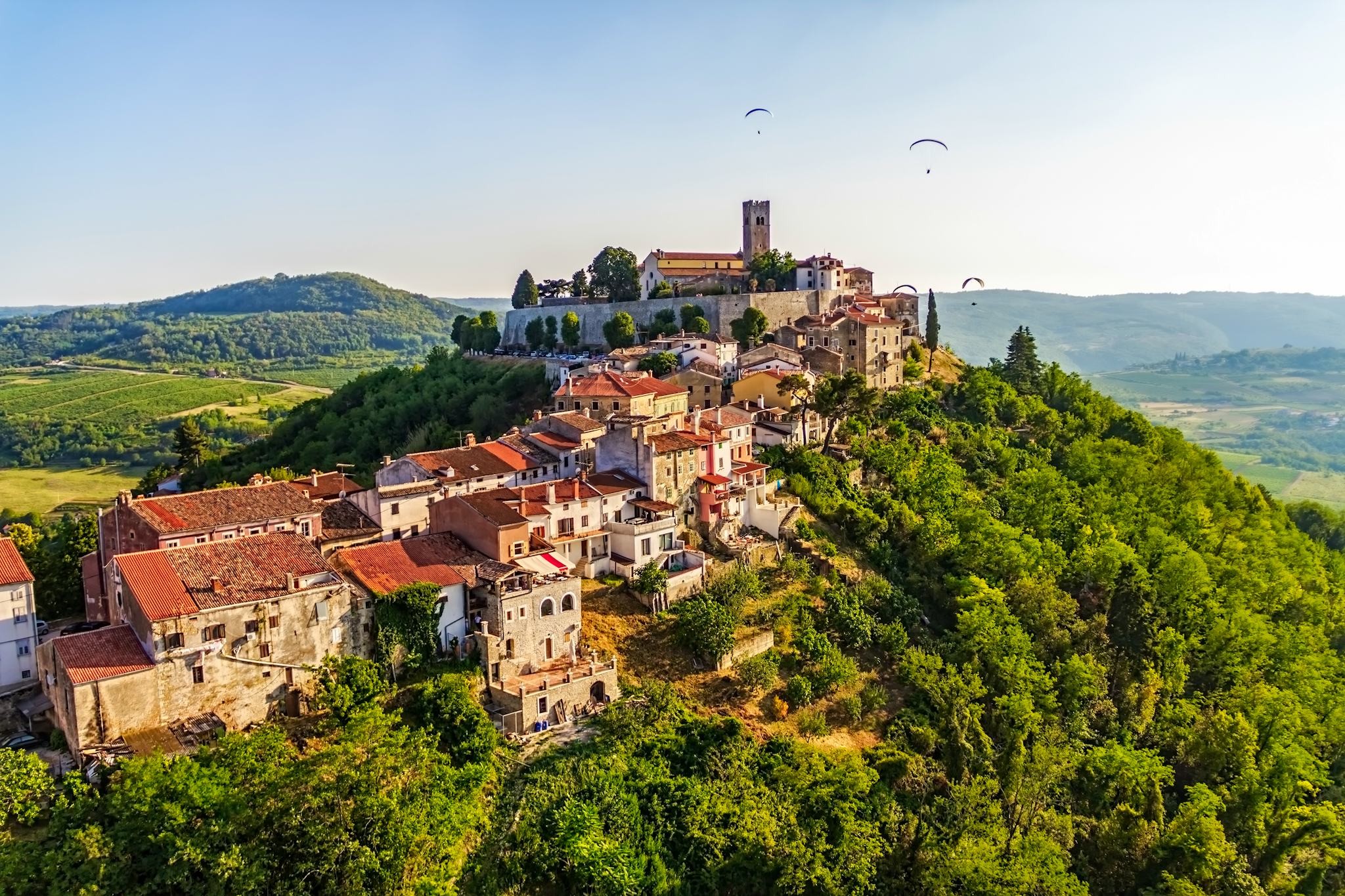 Rovinj to Motovun and Groznjan: Private day trip