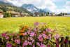Selva di Val Gardena