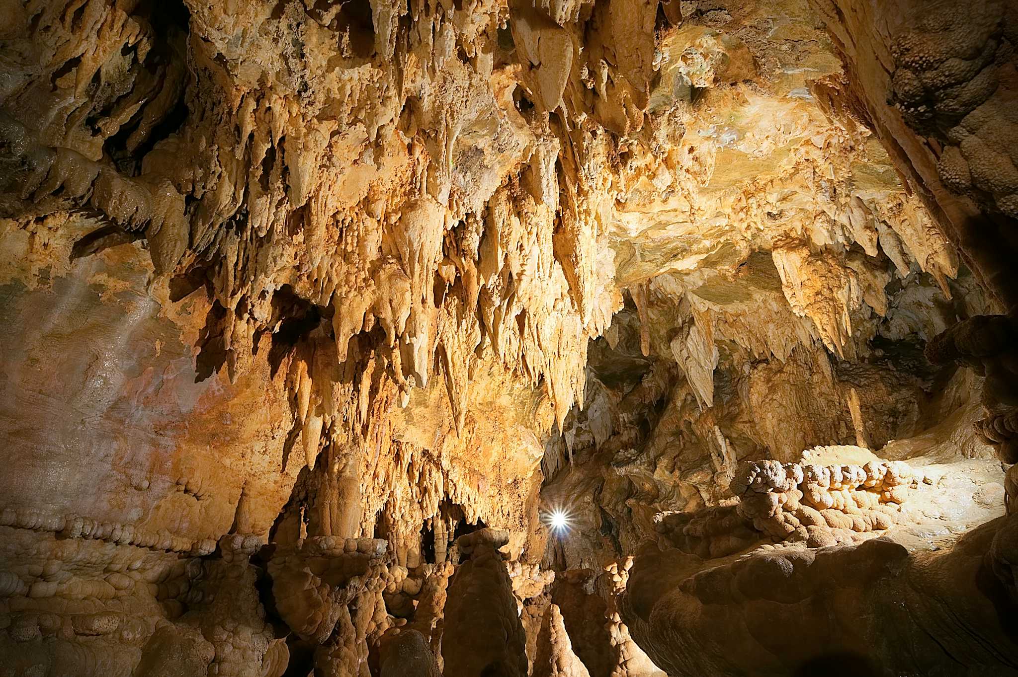Toirano Caves