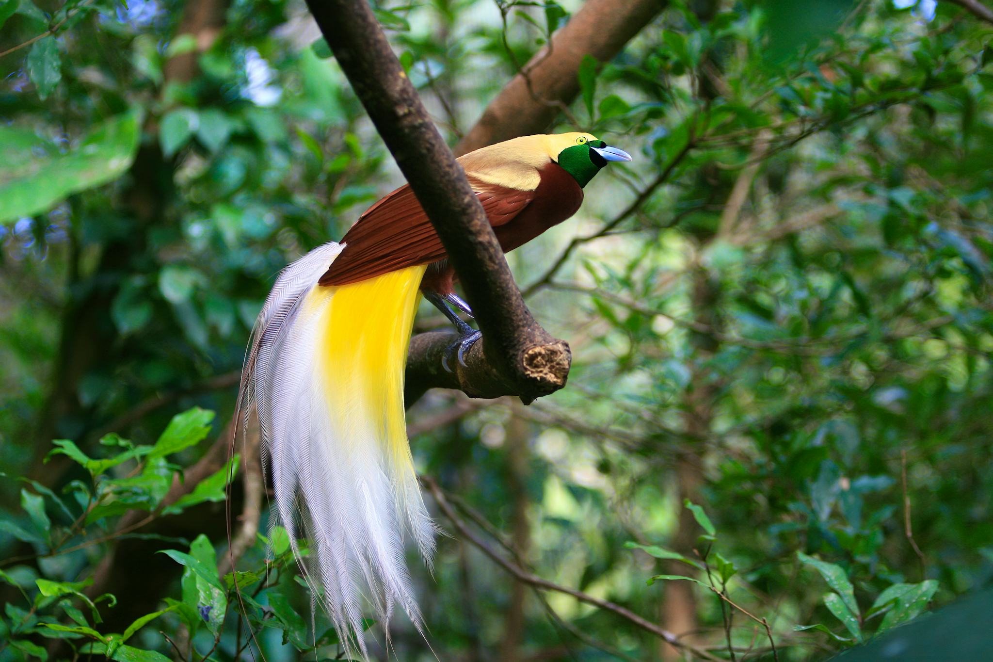 Adventure Park PNG