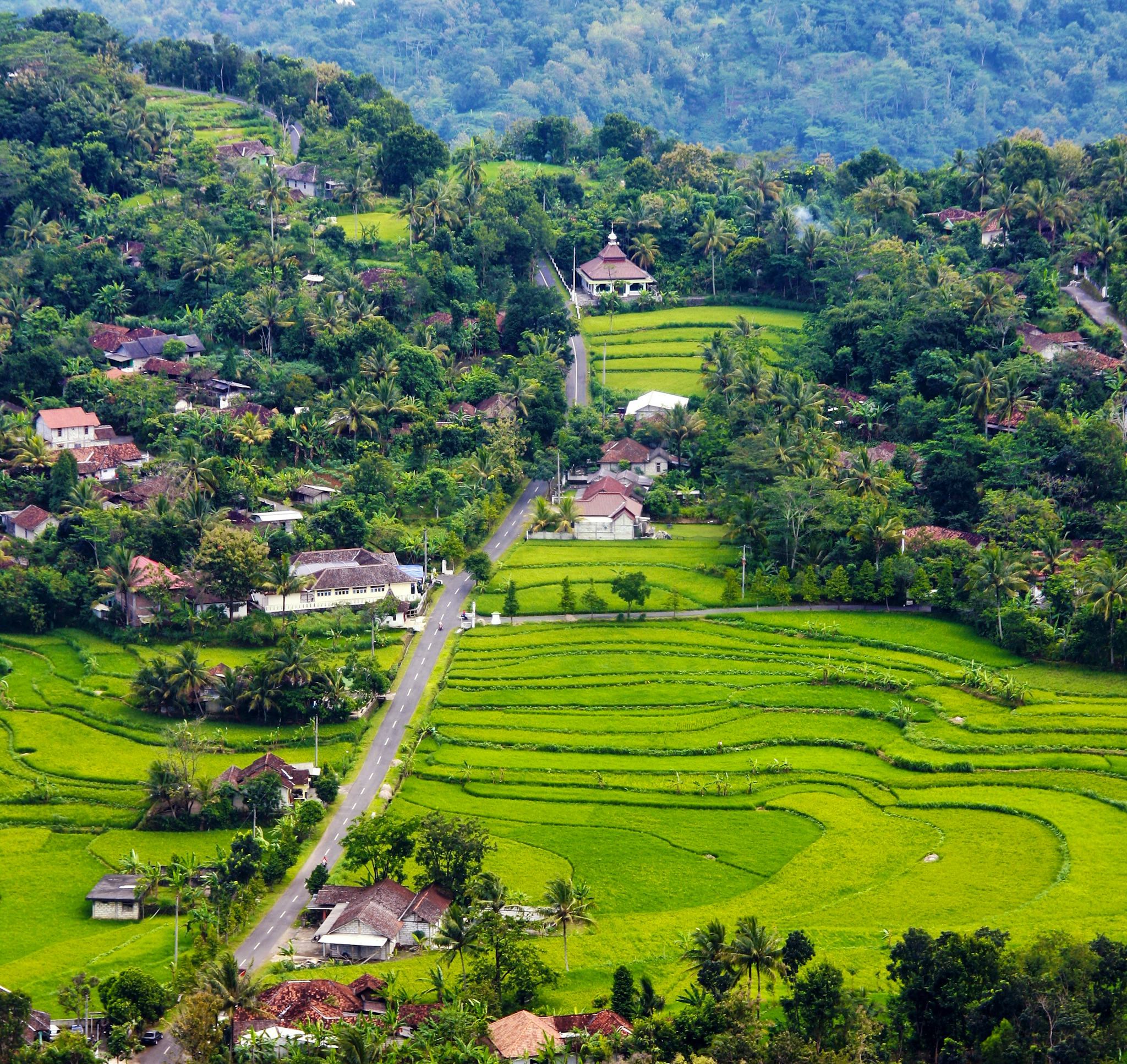 Agrotourisme de Wonosari