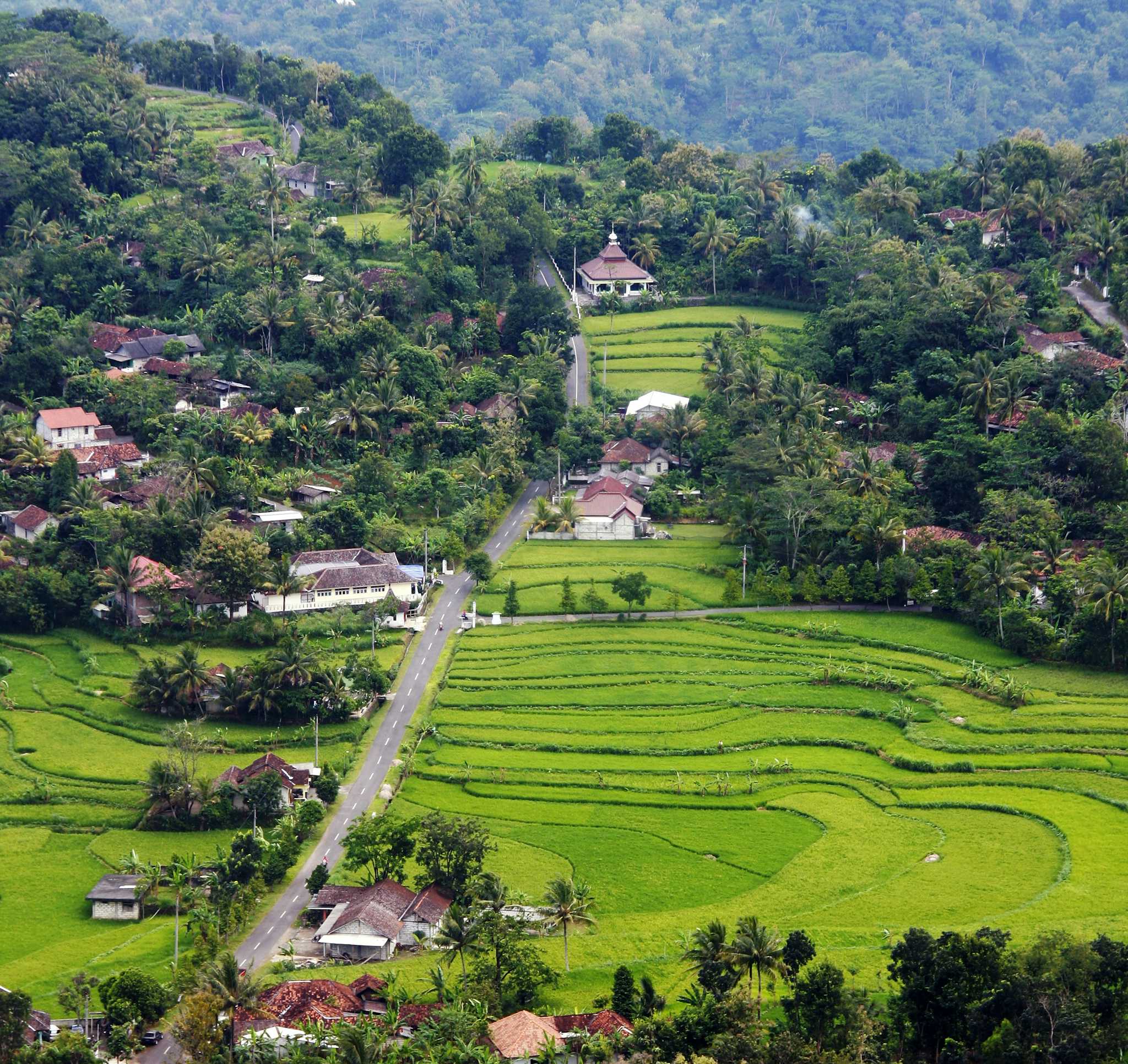 Wonosari Agro Tourism