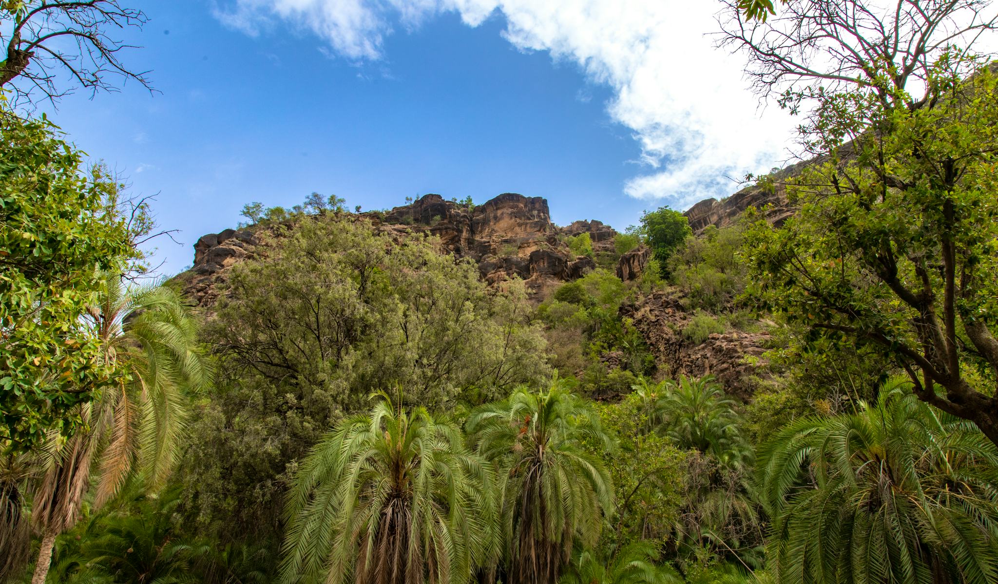 Parque Alsharaf