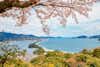 Amanohashidate