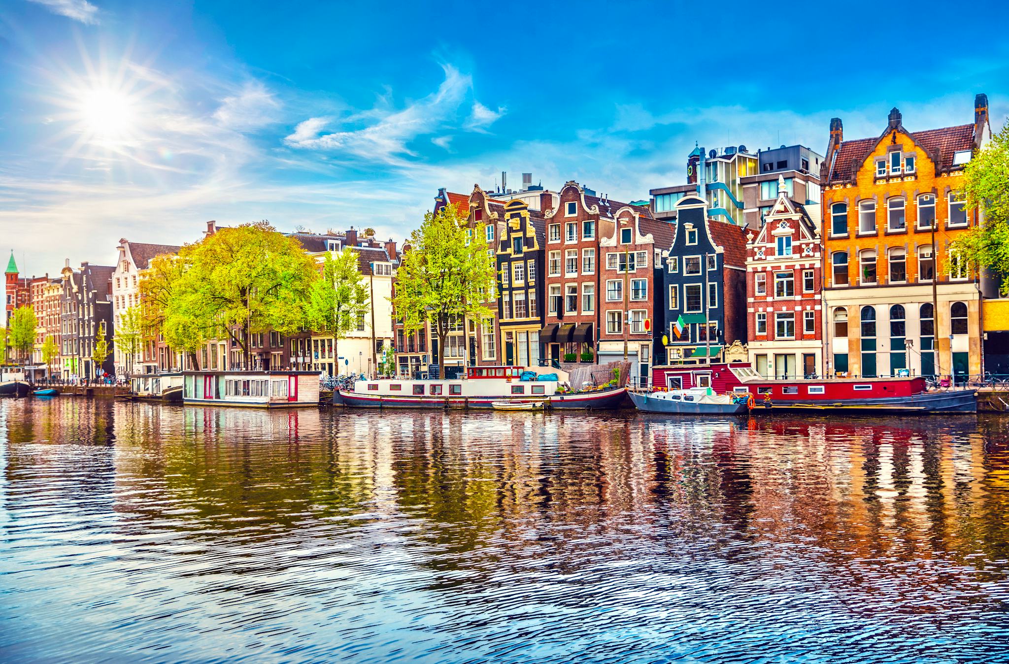 Utrecht to Haarlem and Amsterdam: Private day trip