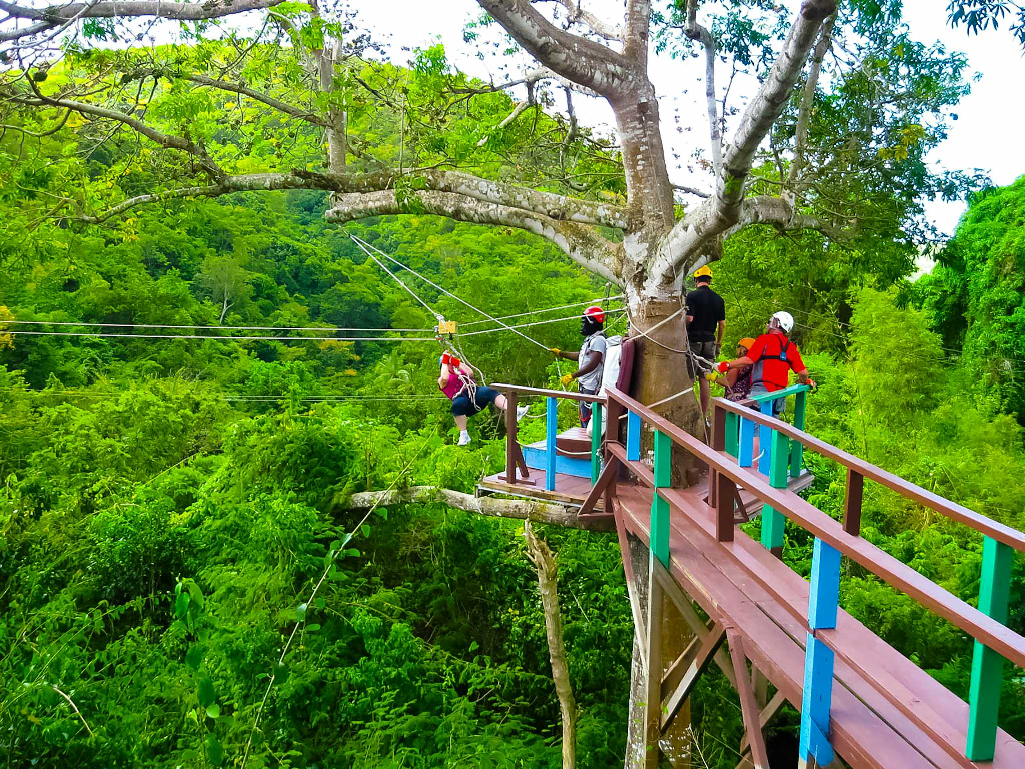 Antigua Rainforest Zipline Tour