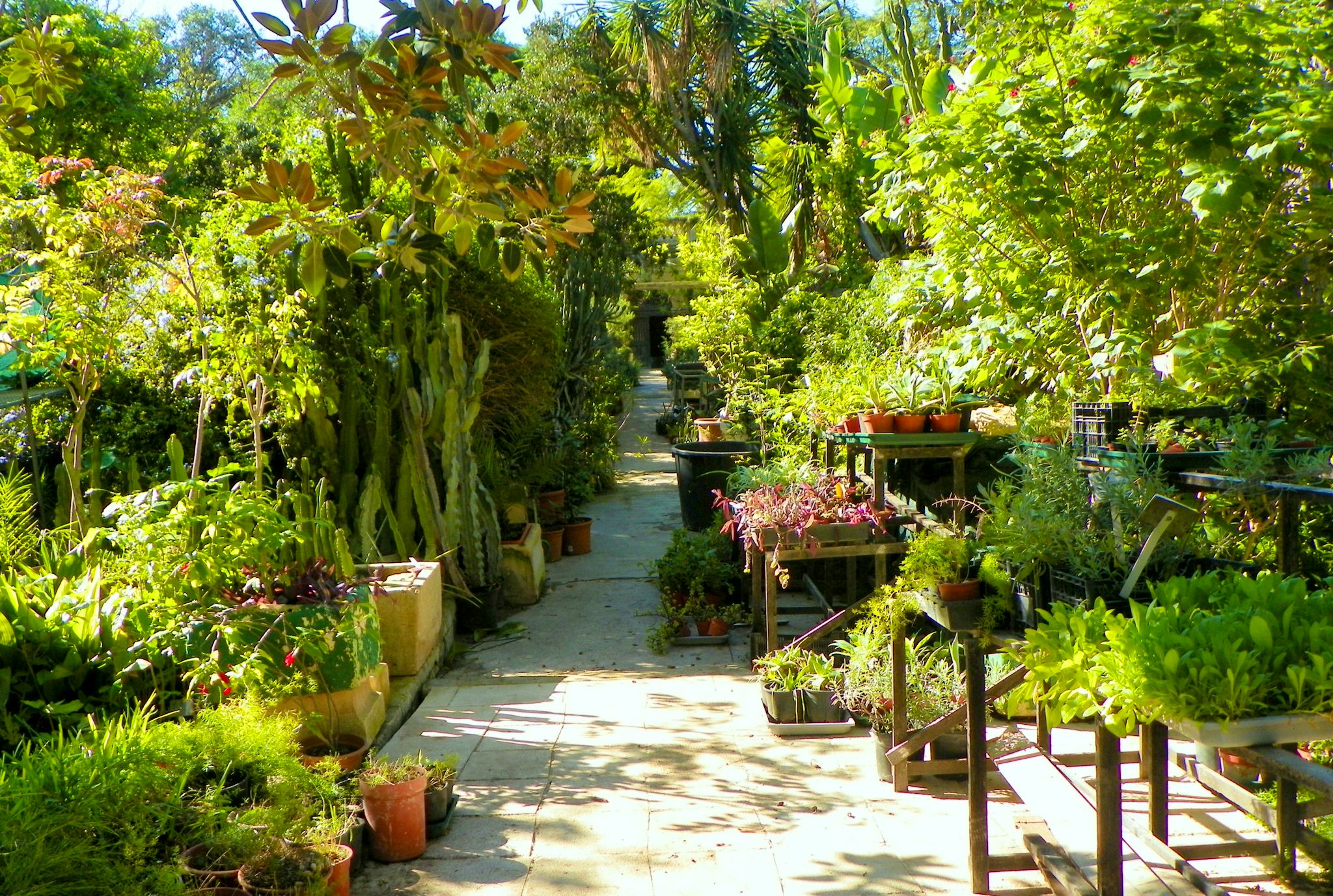 Jardines Botánicos Argotti y Centro de Recursos