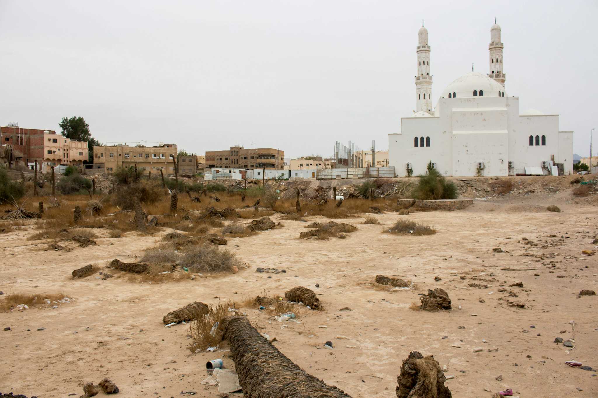 Badr Battlefield Area