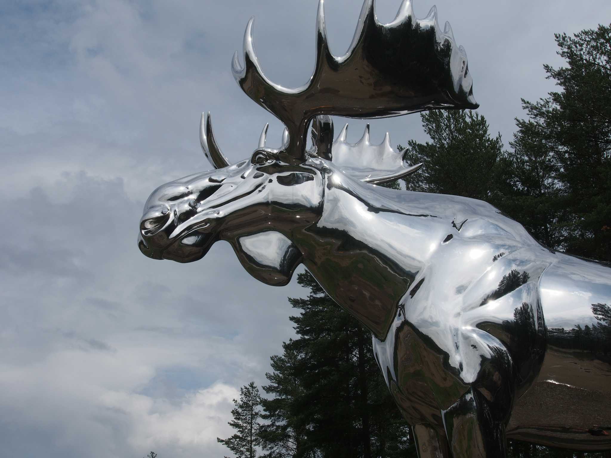 Big Silver Moose