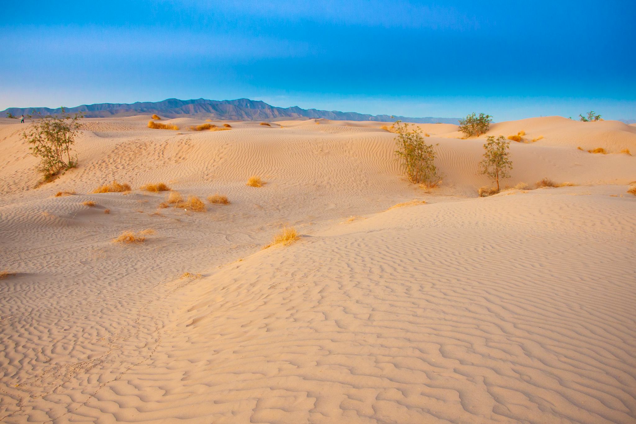 Bilbao Dunes