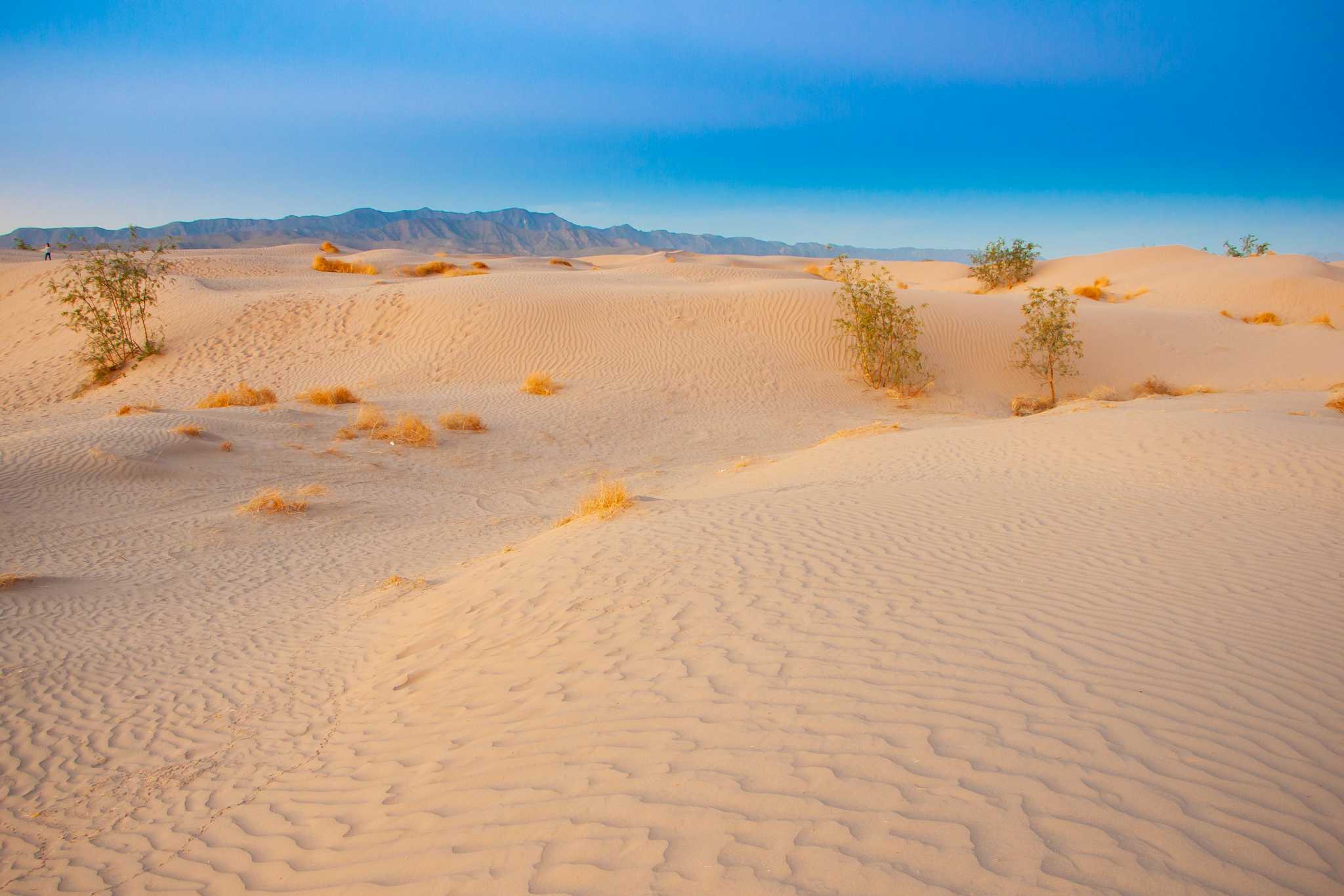 Bilbao Dunes