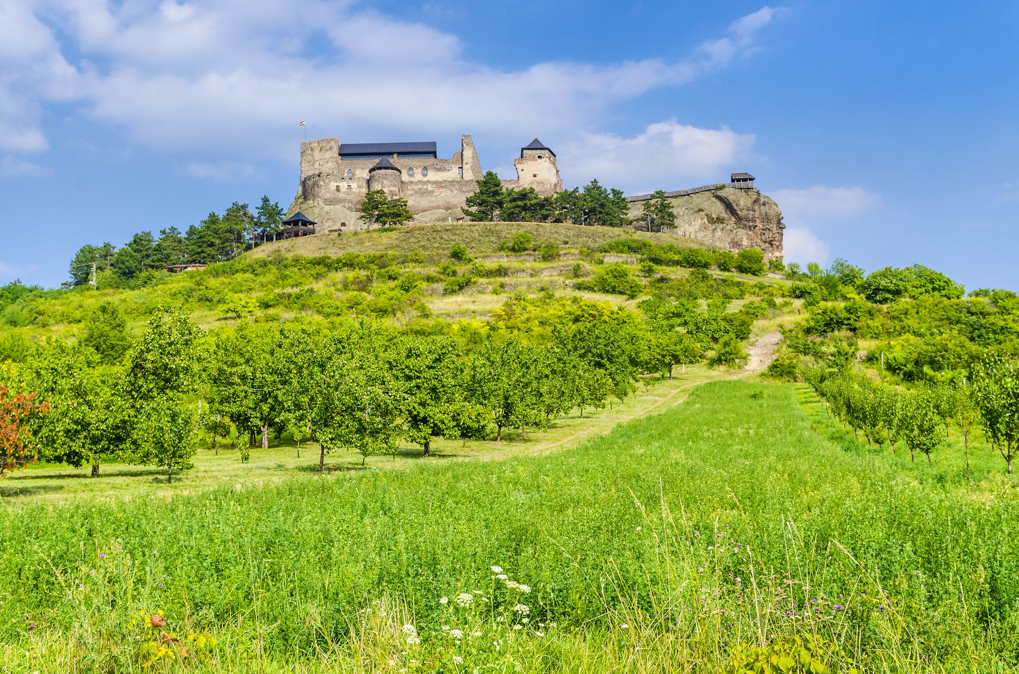 Boldogko Castle