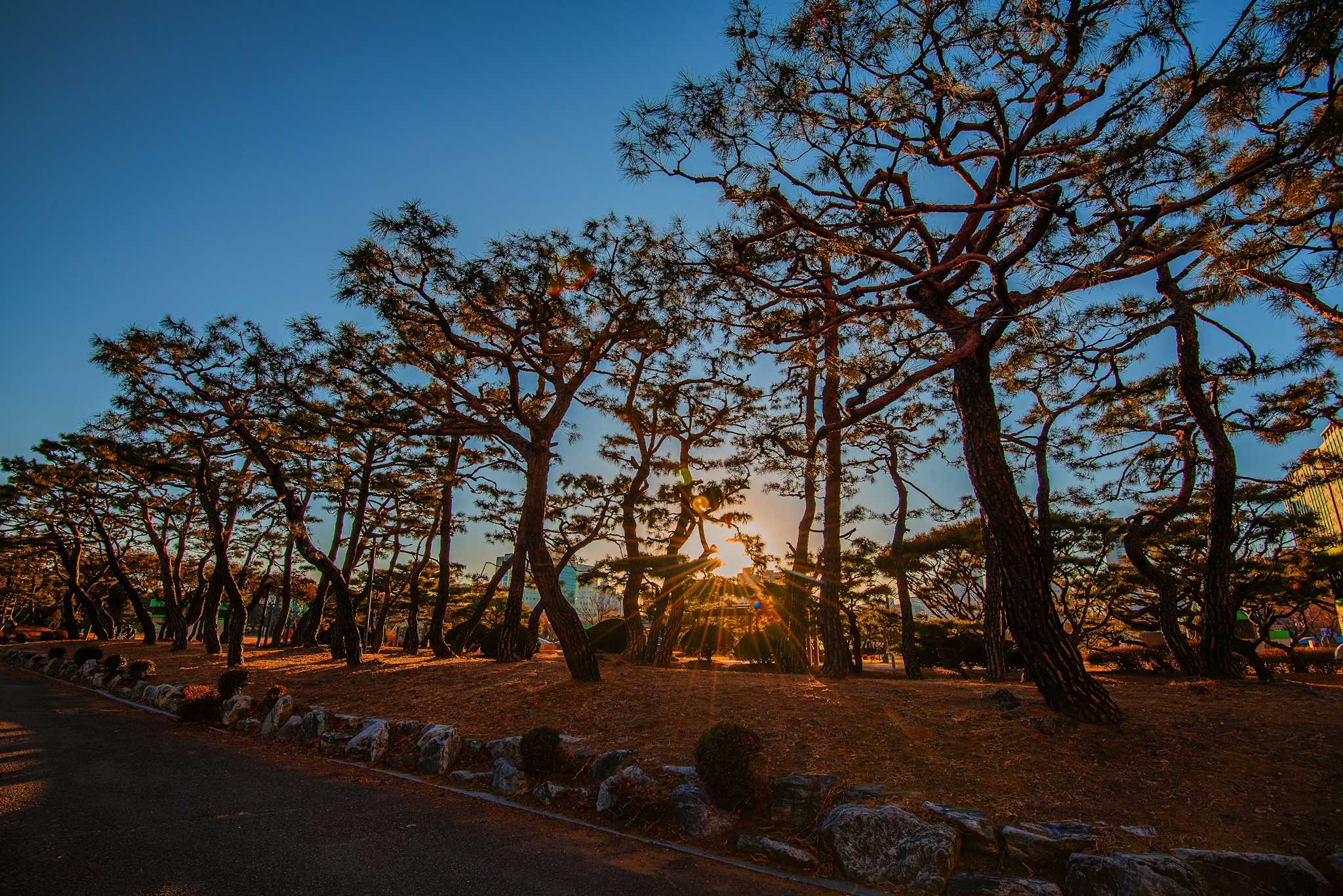 Parc Écologique de Bucheon