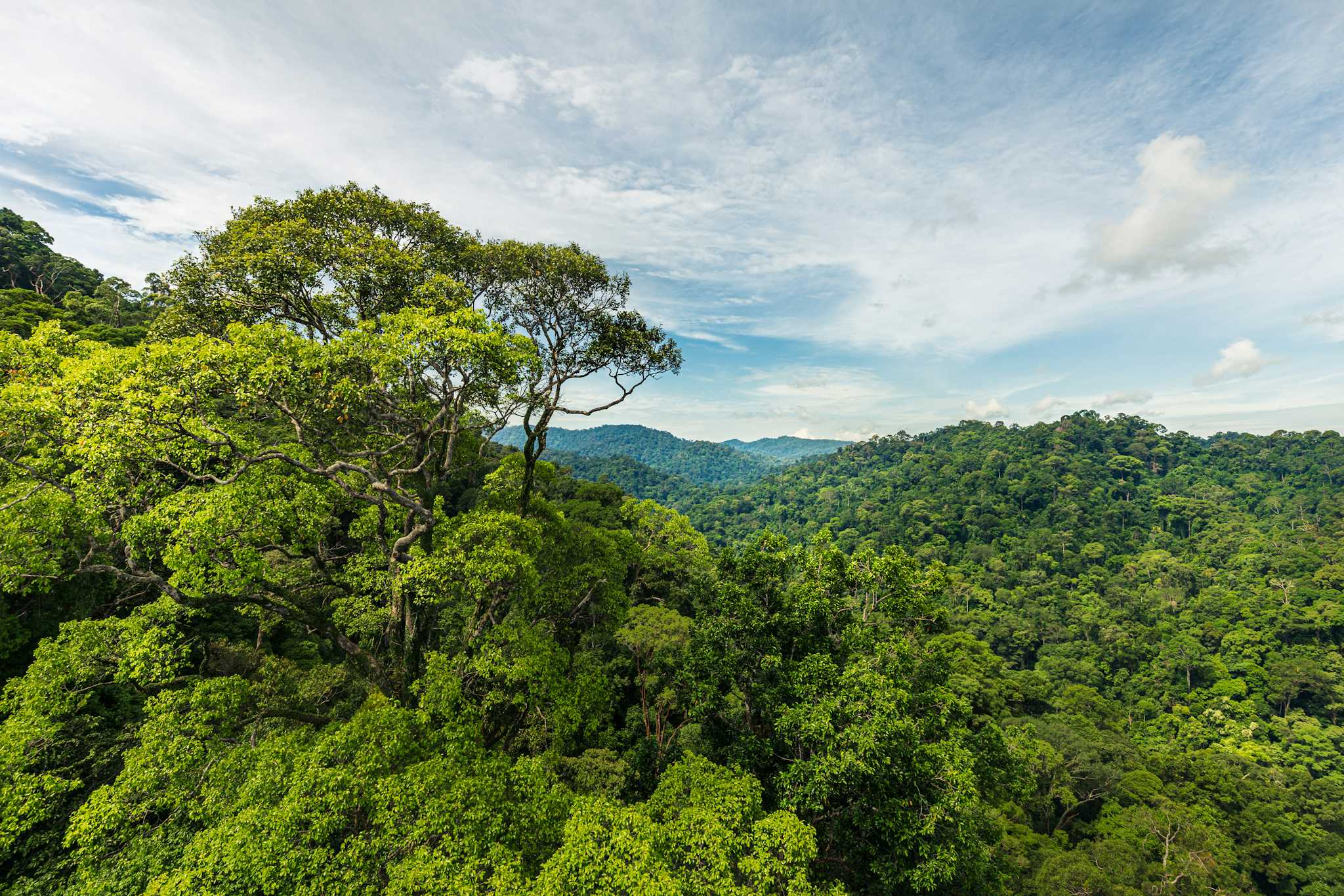 Parc Récréatif Bukit Patoi