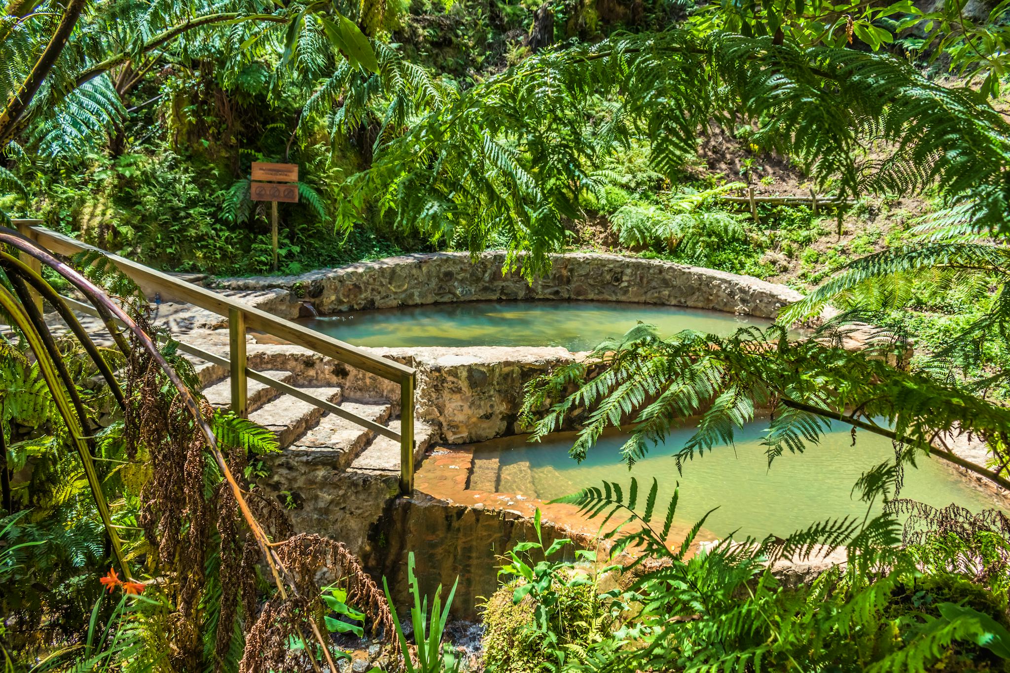Ponta Delgada to Sao Miguel's Thermal Pools: Guided Tour