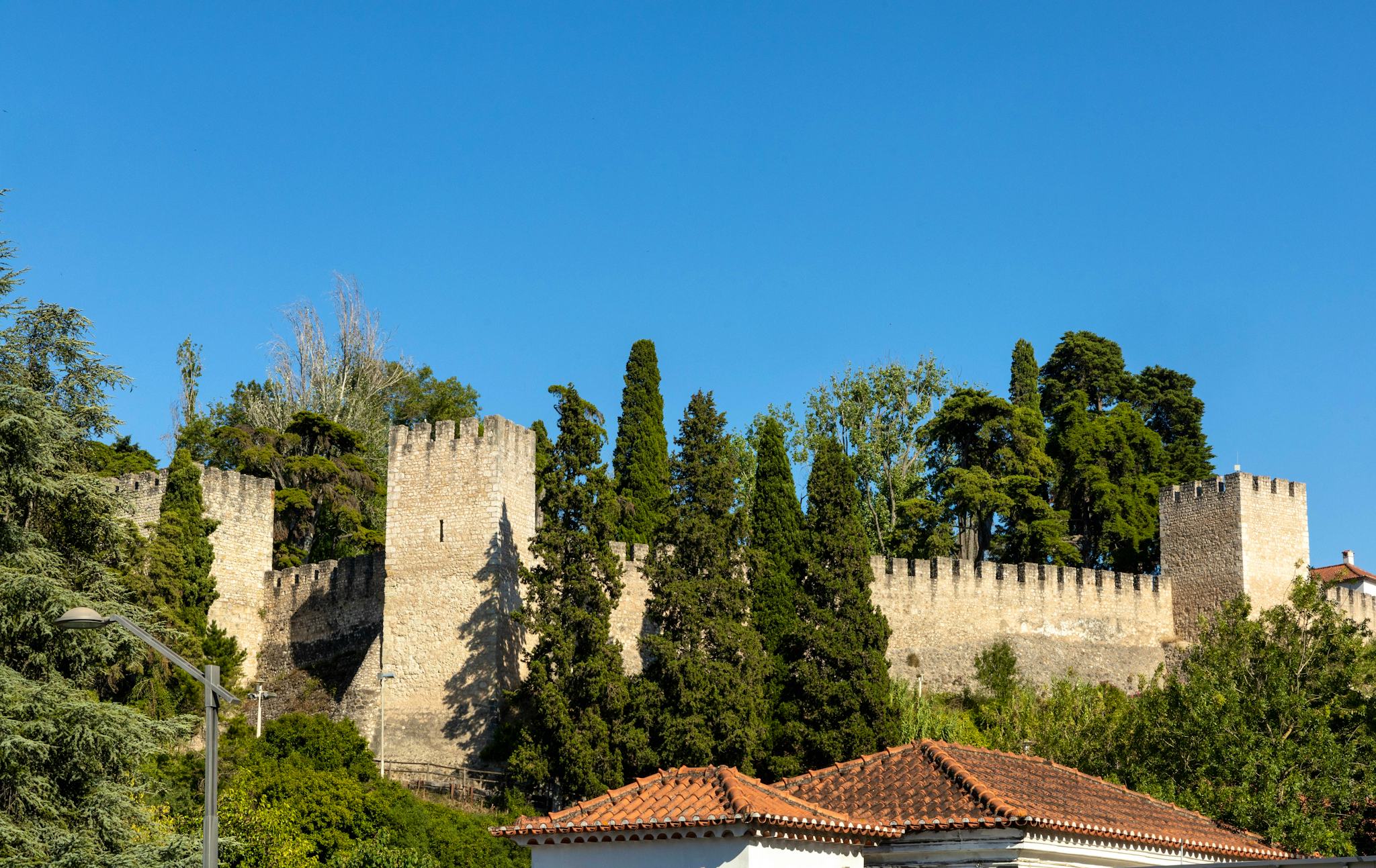 Castle of Torres Novas