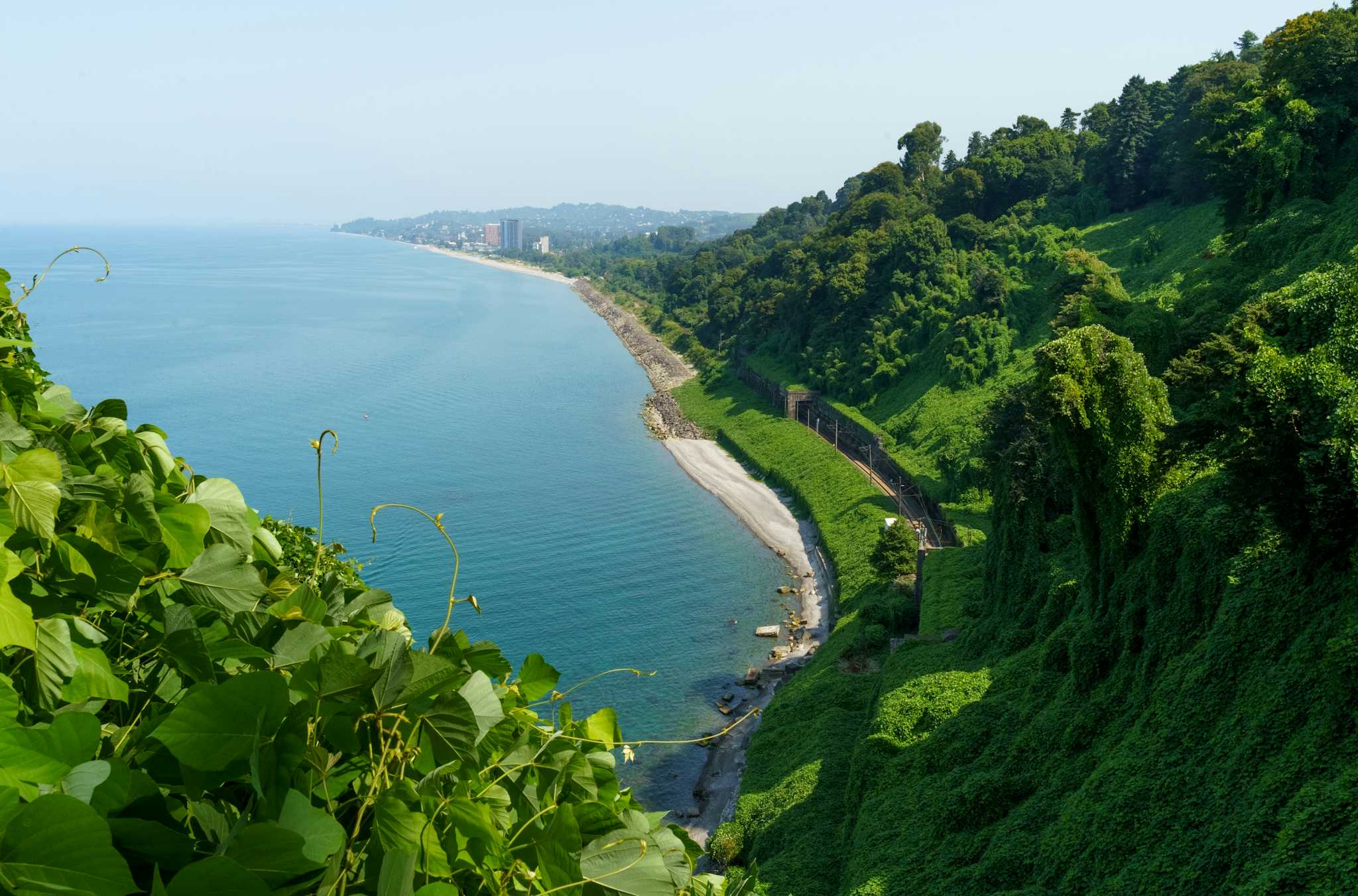 Chakvi-Strand