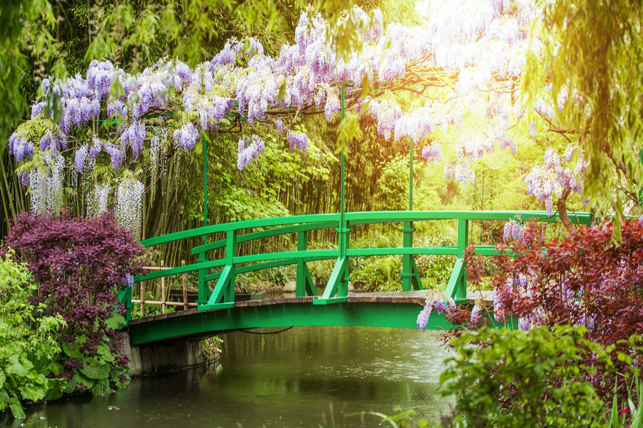 Claude Monet's Garden at Giverny
