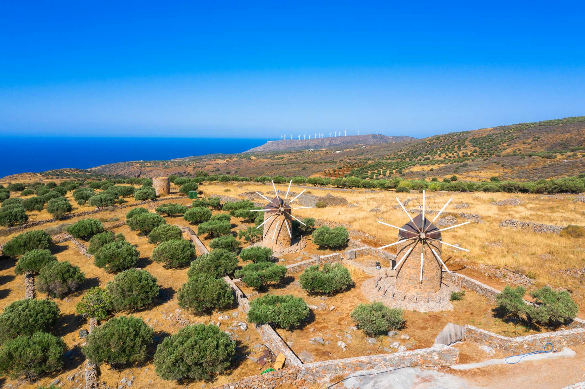 Cretan Olive Oil Farm