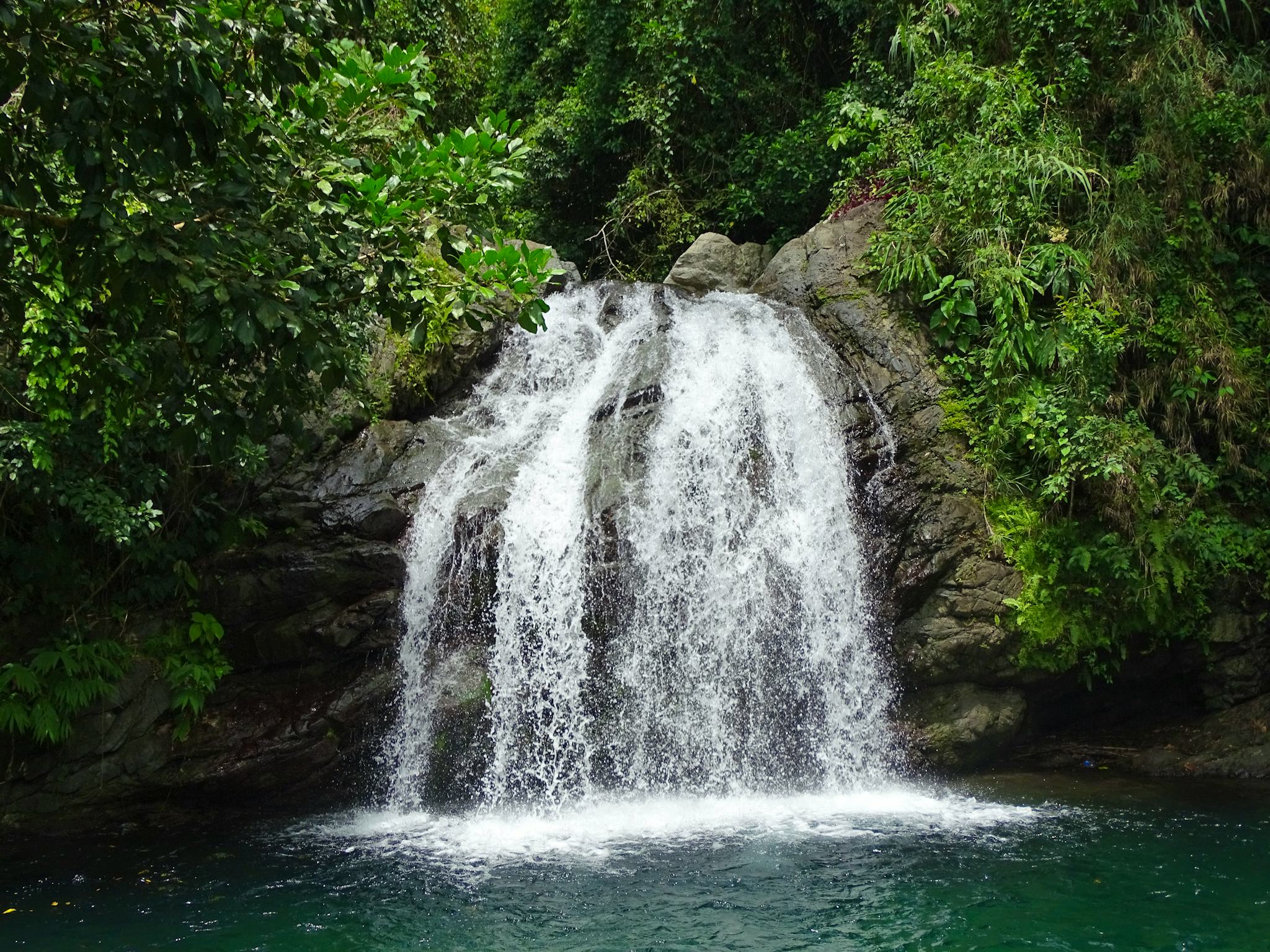 Fish Dunn Falls