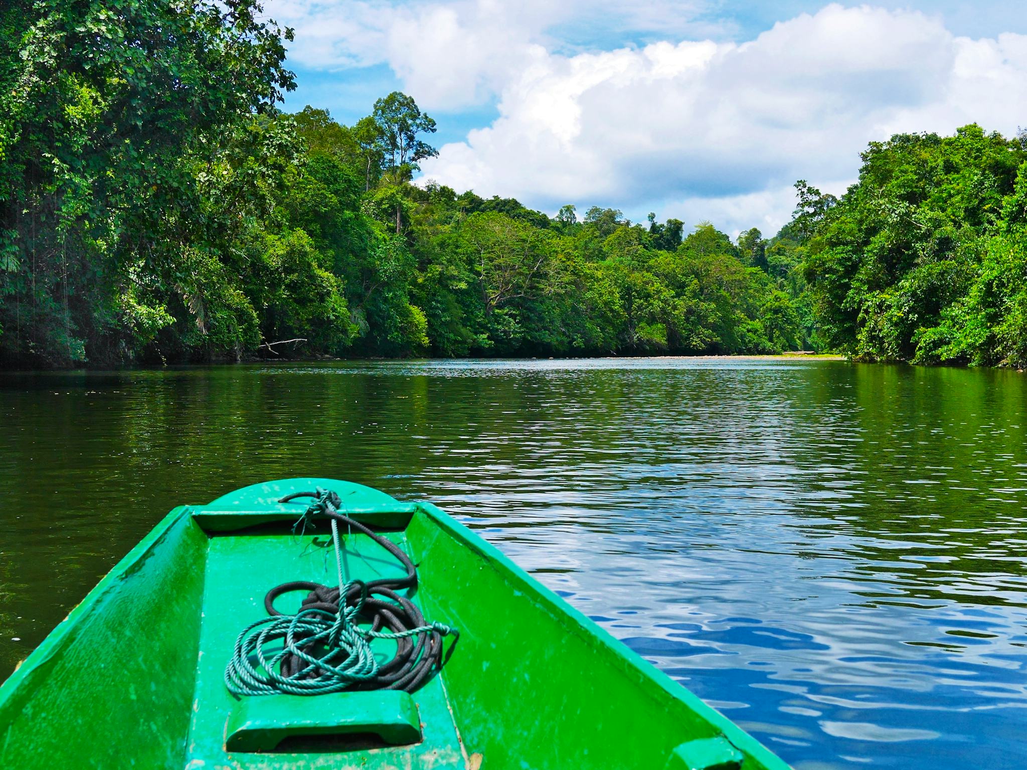 Freme Rainforest Lodge