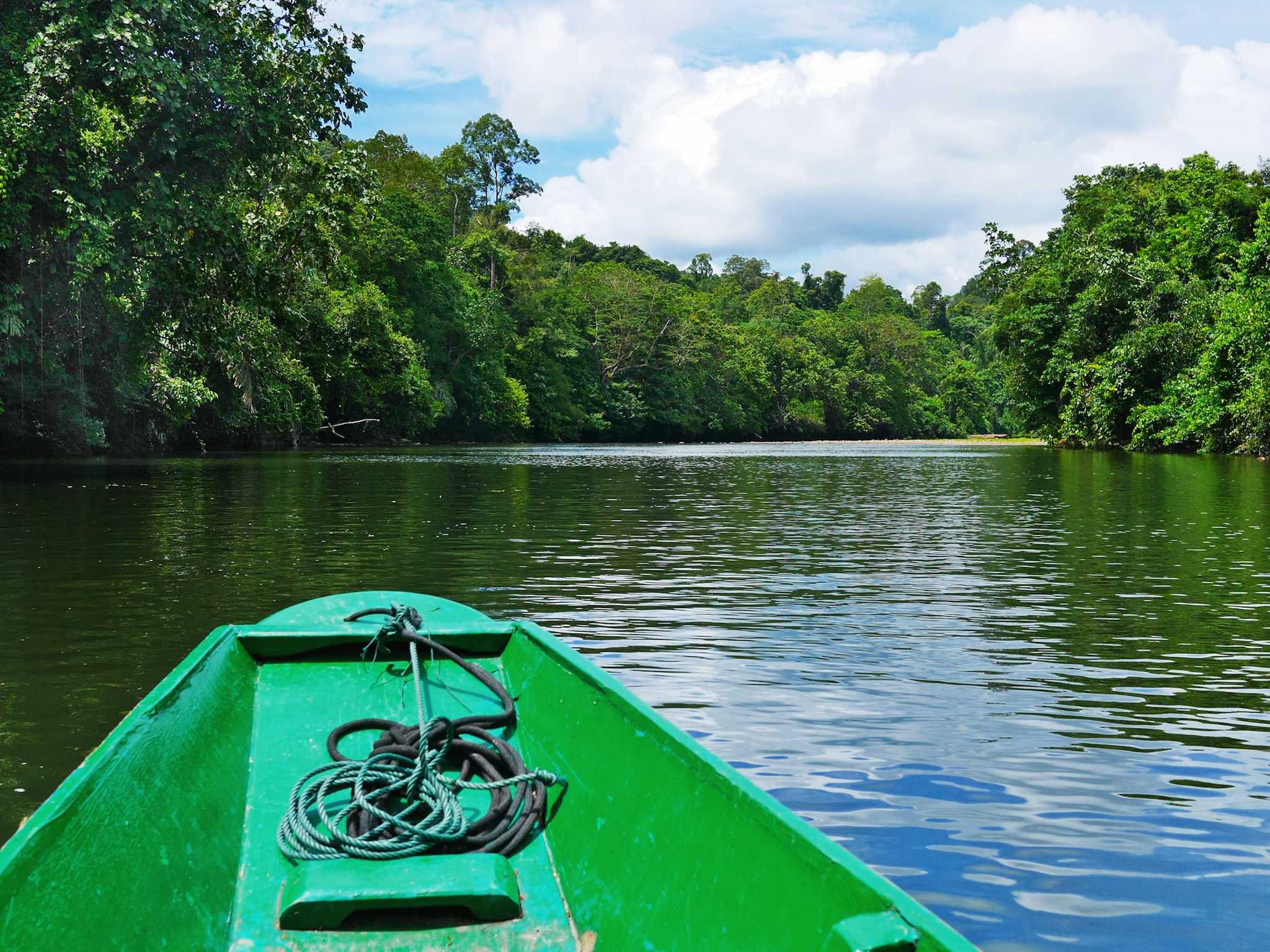 Freme Rainforest Lodge