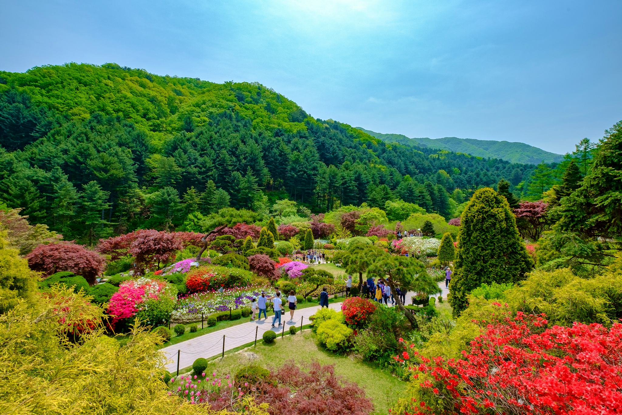 Garden of Morning Calm