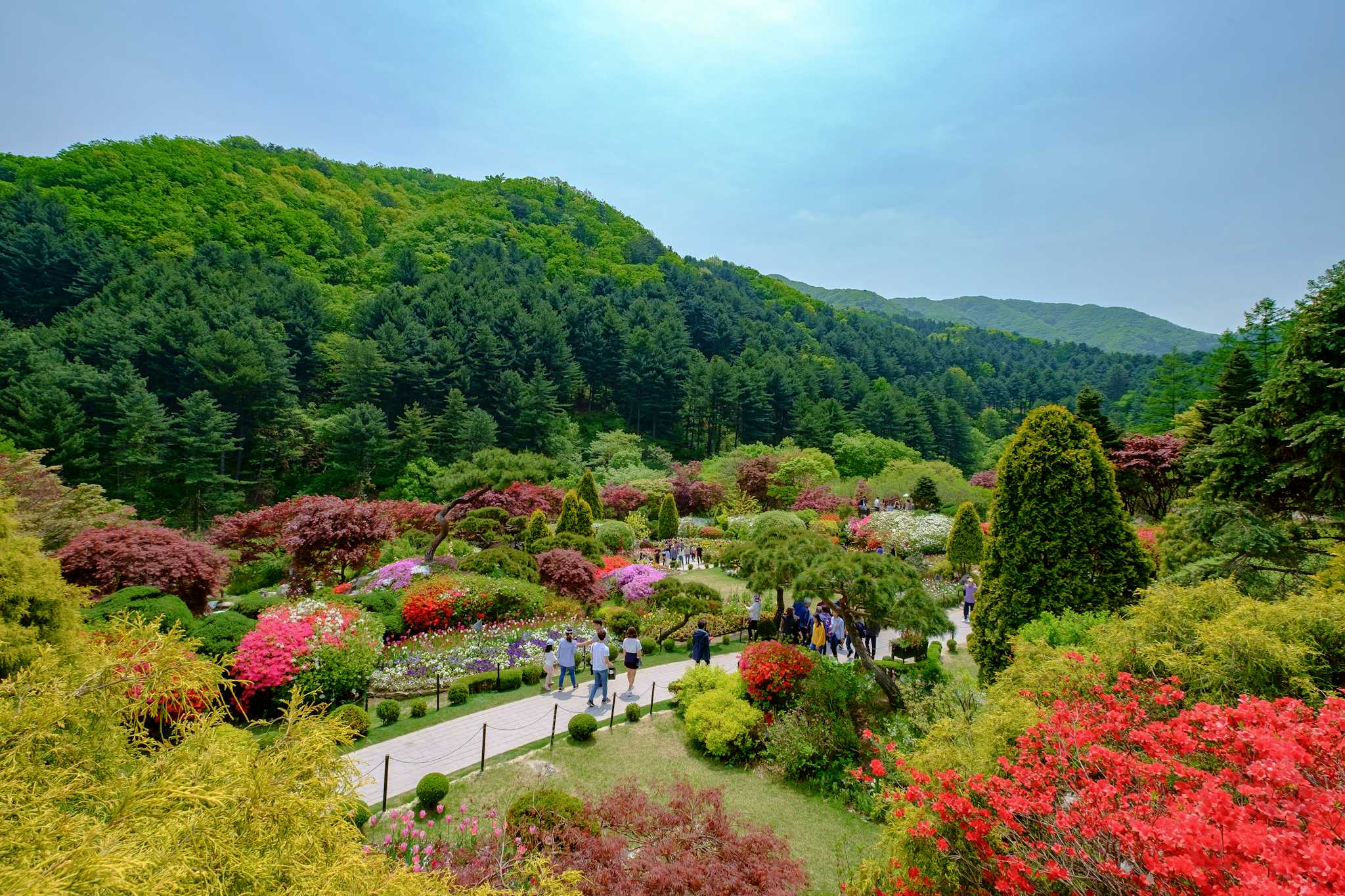 Jardin du Matin Calme