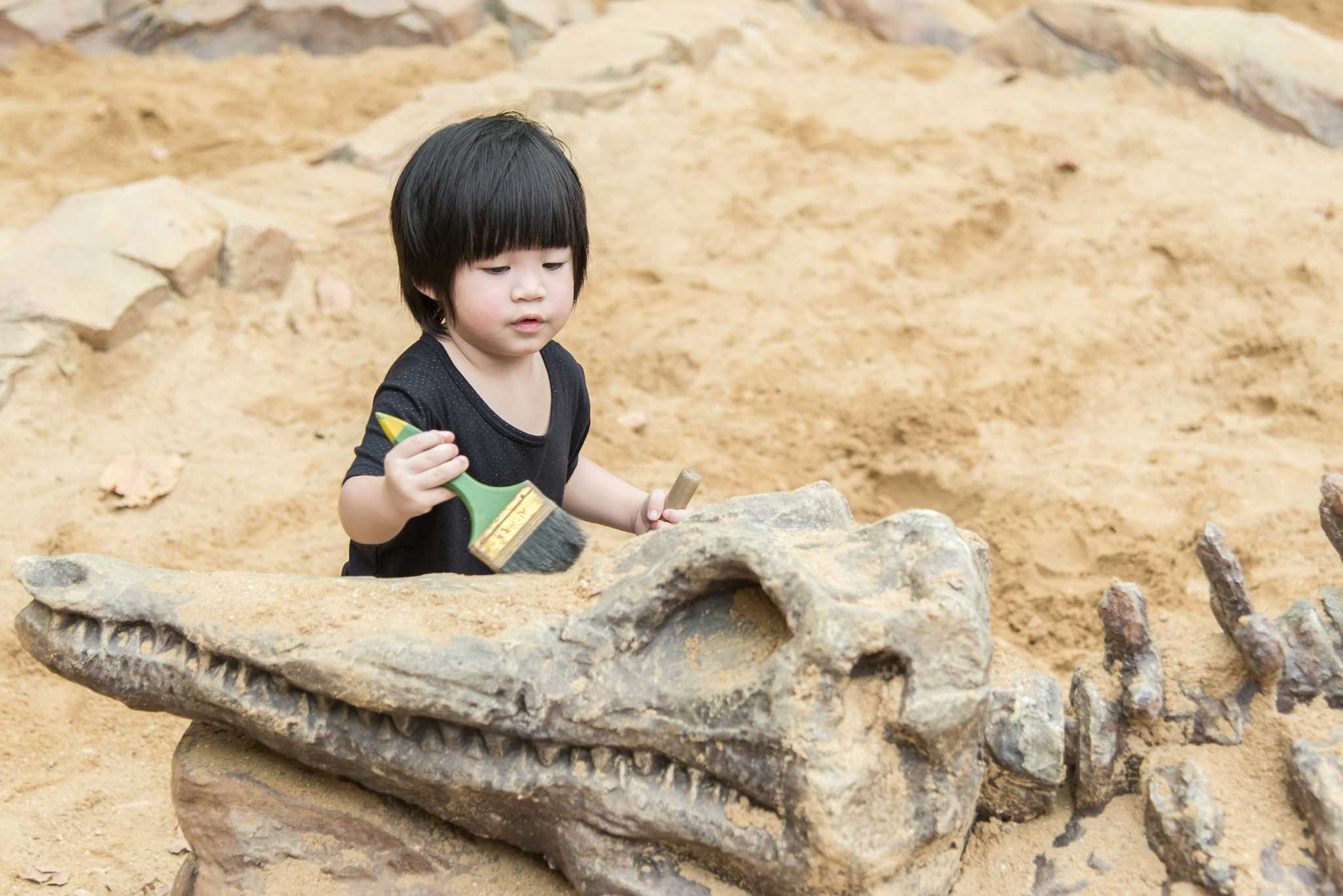 Exposition Mondiale des Dinosaures de Goseong