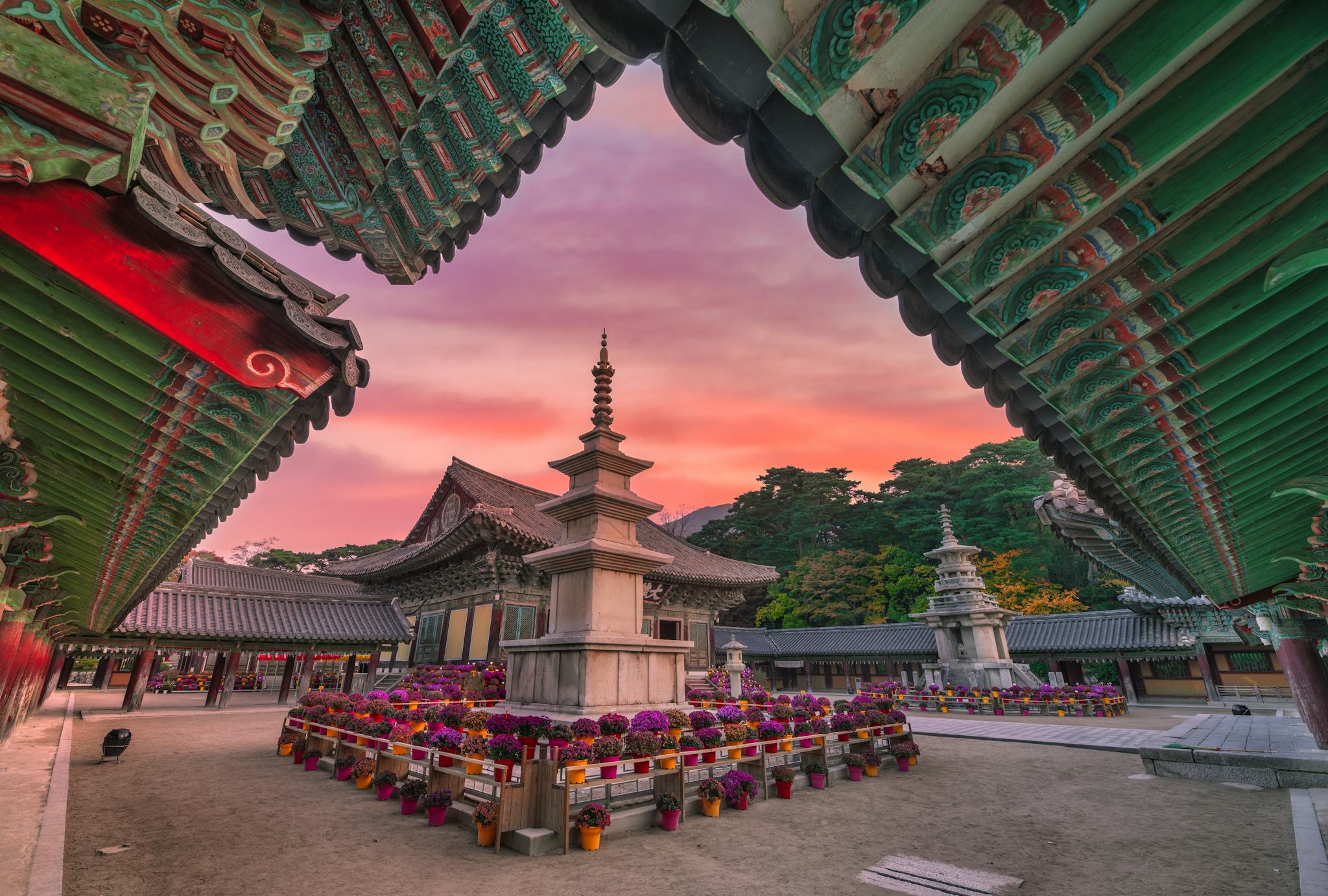 Seoul to Gyeongju: Private day trip