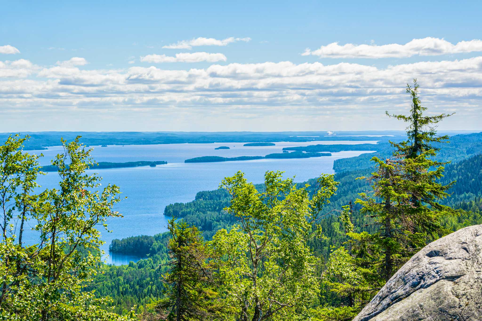 Koli National Park