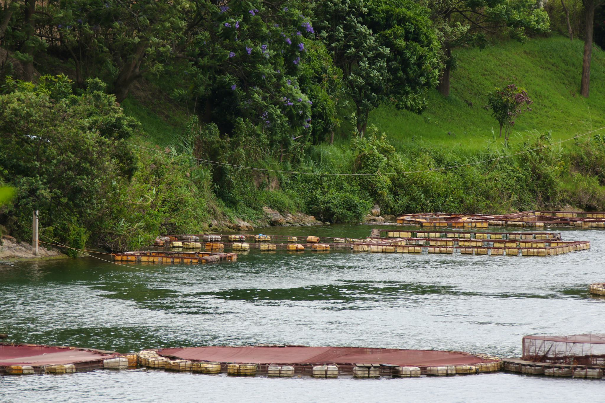 Lakeside Fish Farm