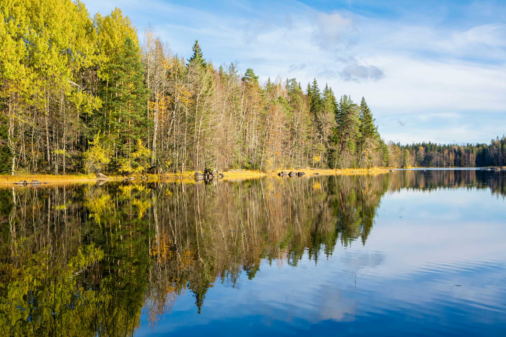 Liesjarvi National Park