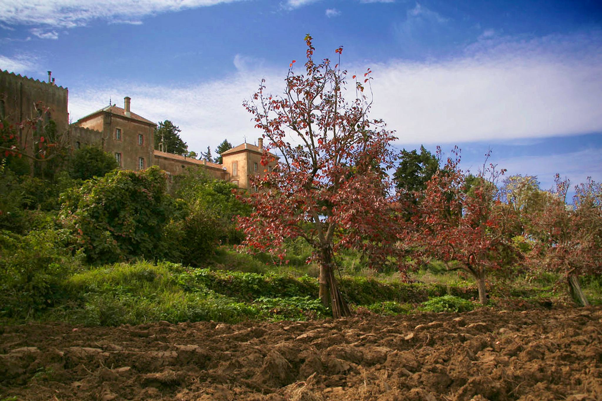 Abbaye Notre-Dame de l'Atlas