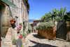 Montefalco