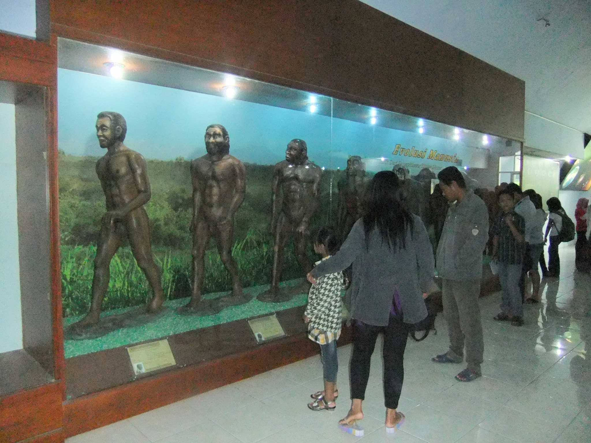 Sangiran Early Man Site