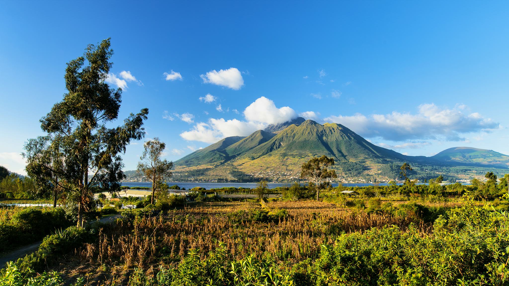 Quito to Otavalo: Private day trip