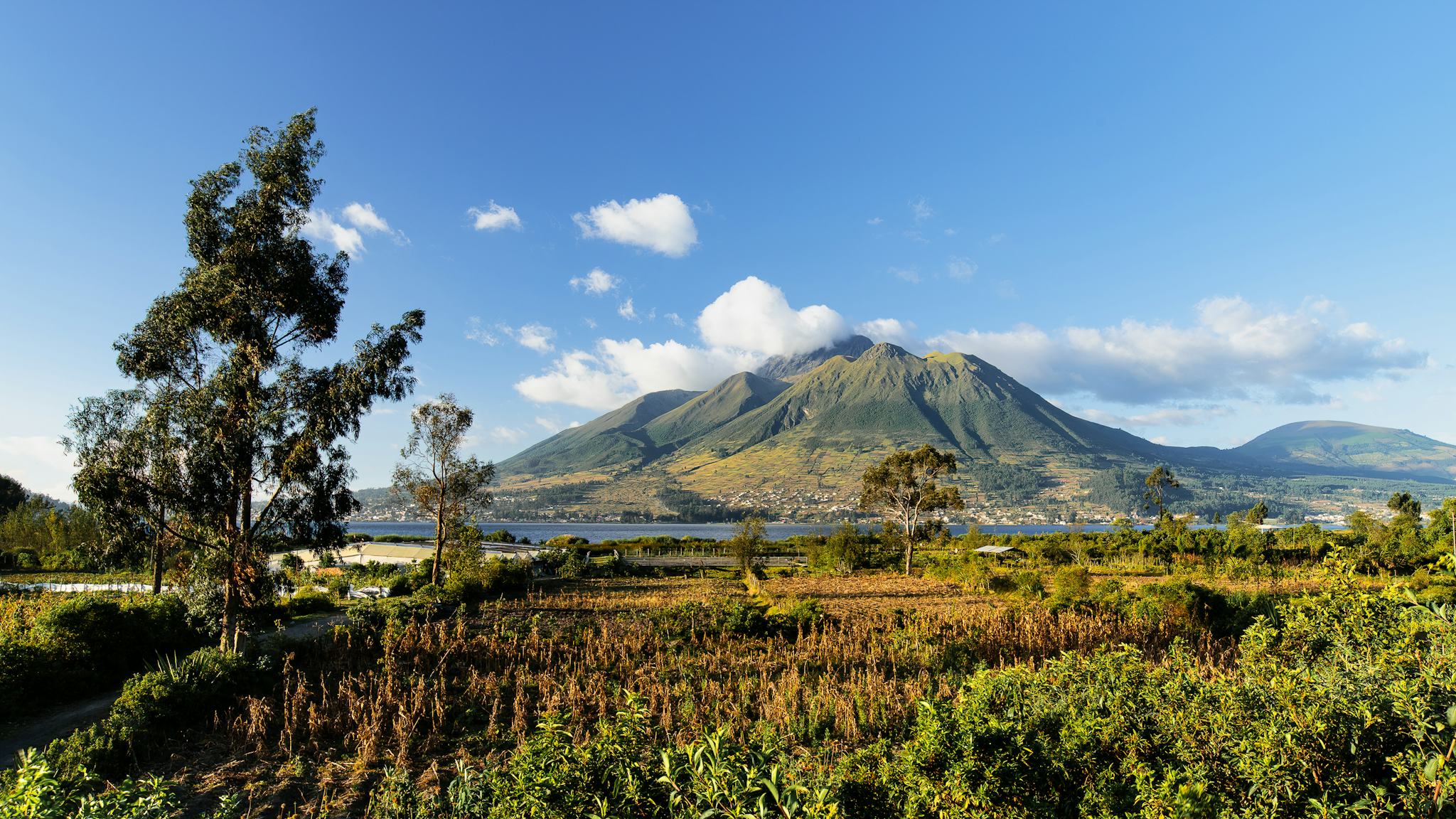 Quito to Otavalo: Private day trip hero image
