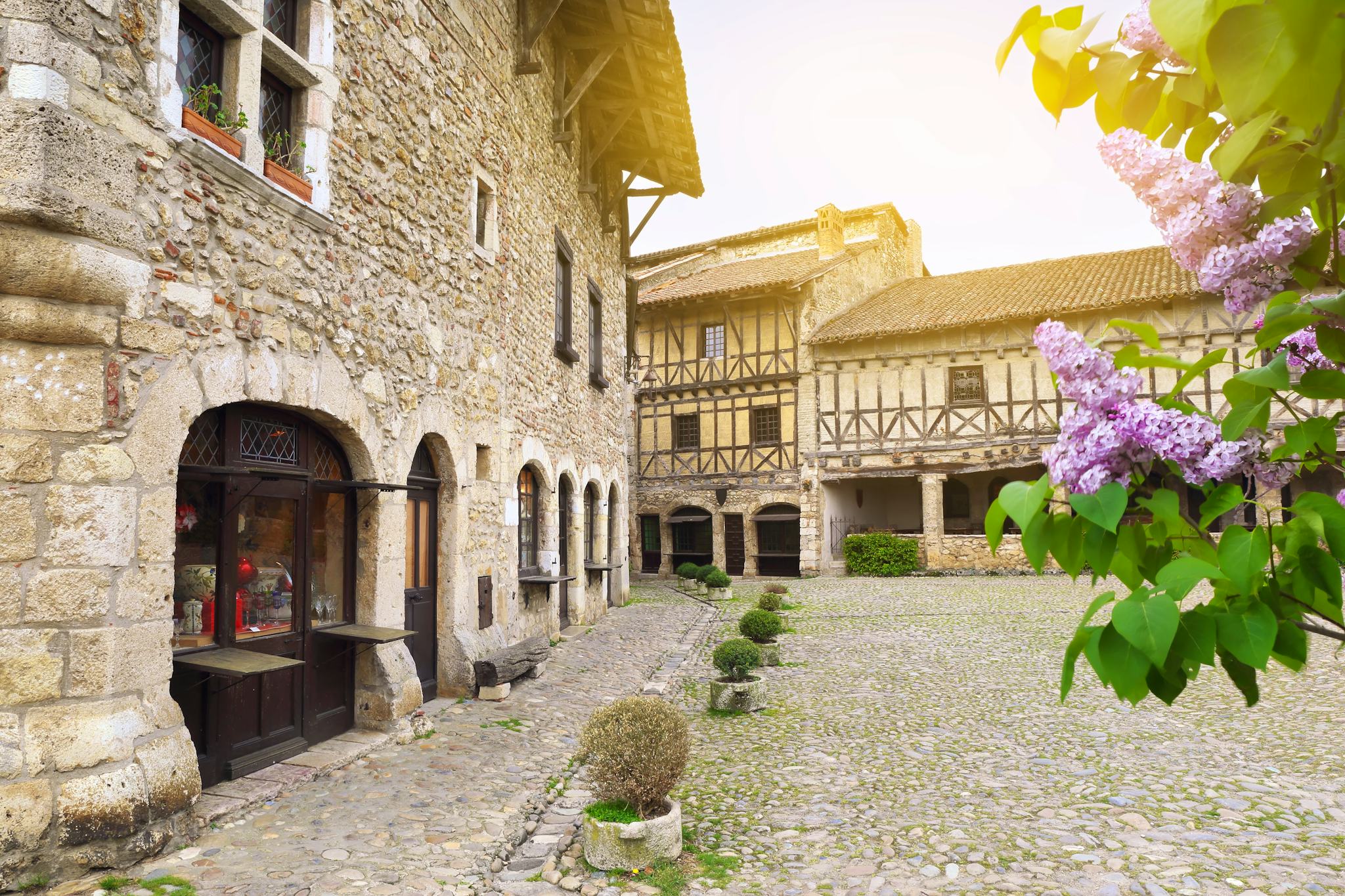 Lyon to Perouges: Private day trip