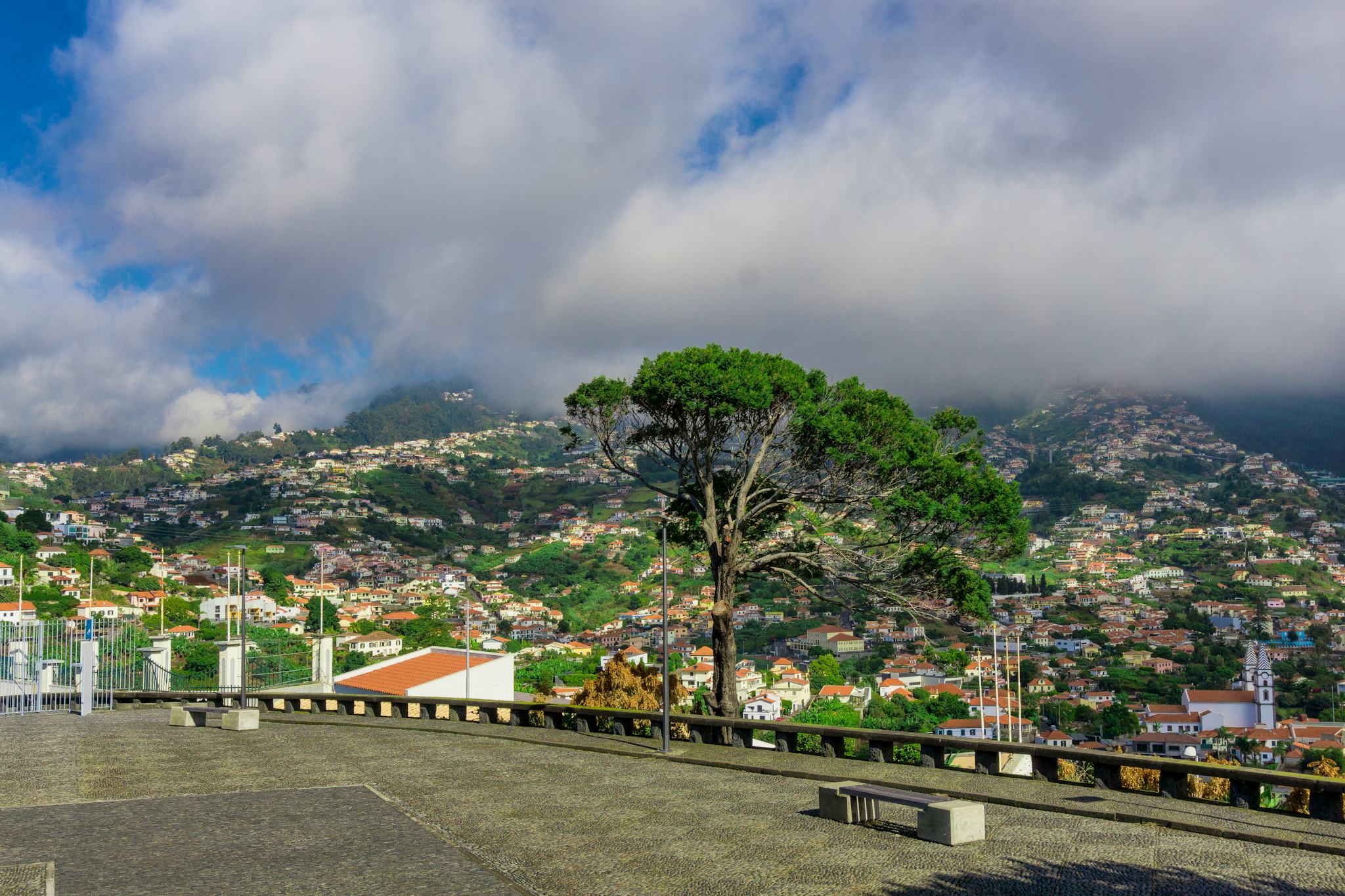 Pico dos Barcelos Viewpoint