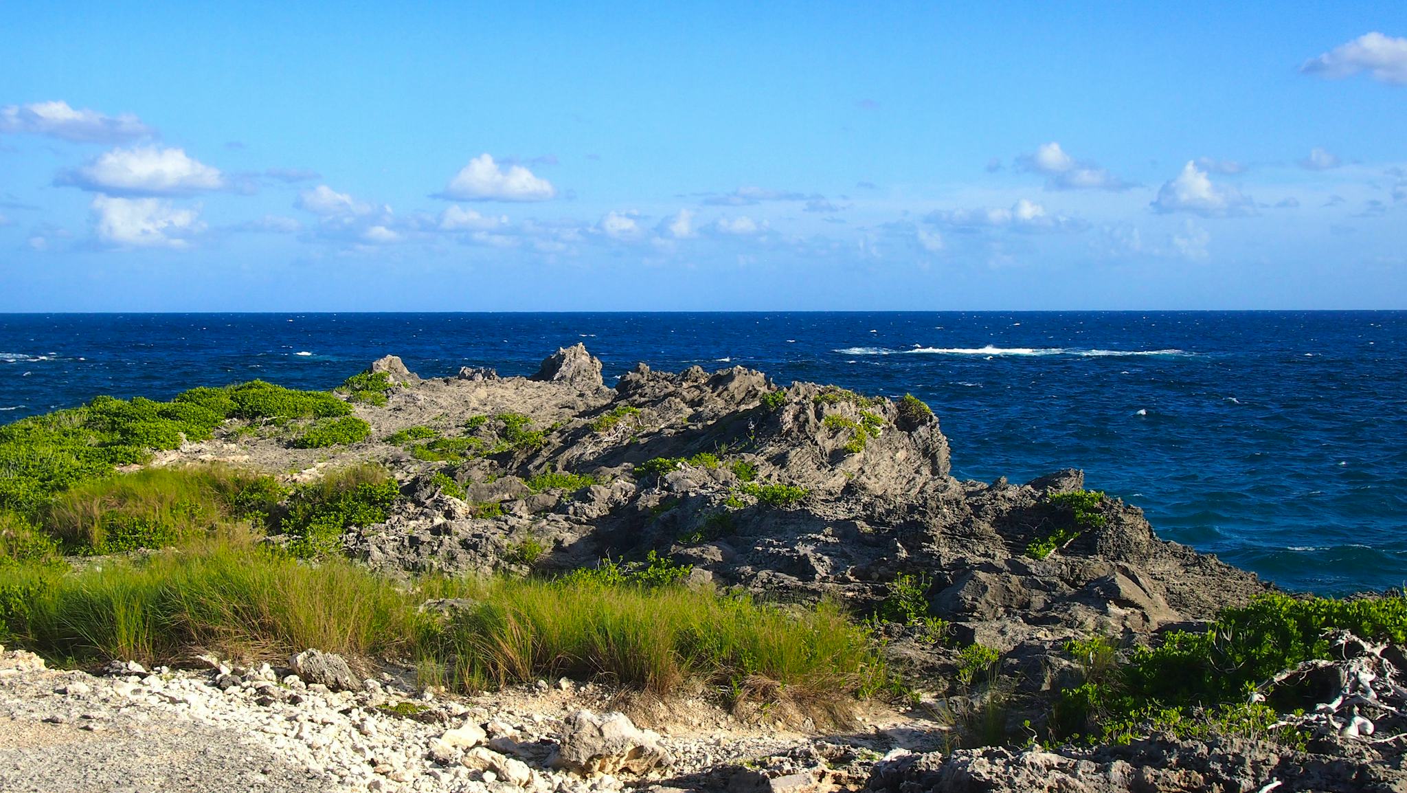 Portuguese Rock