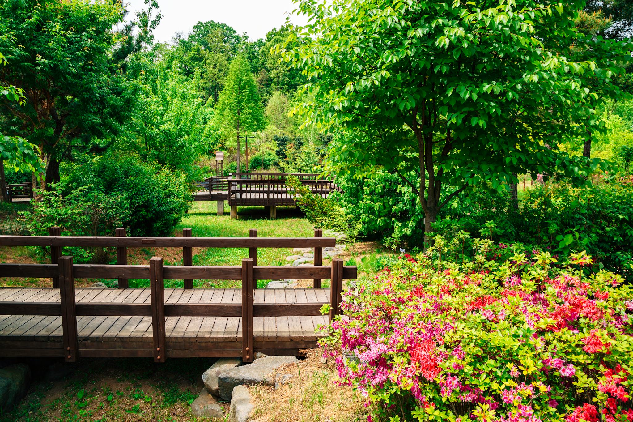 Pureun Arboretum