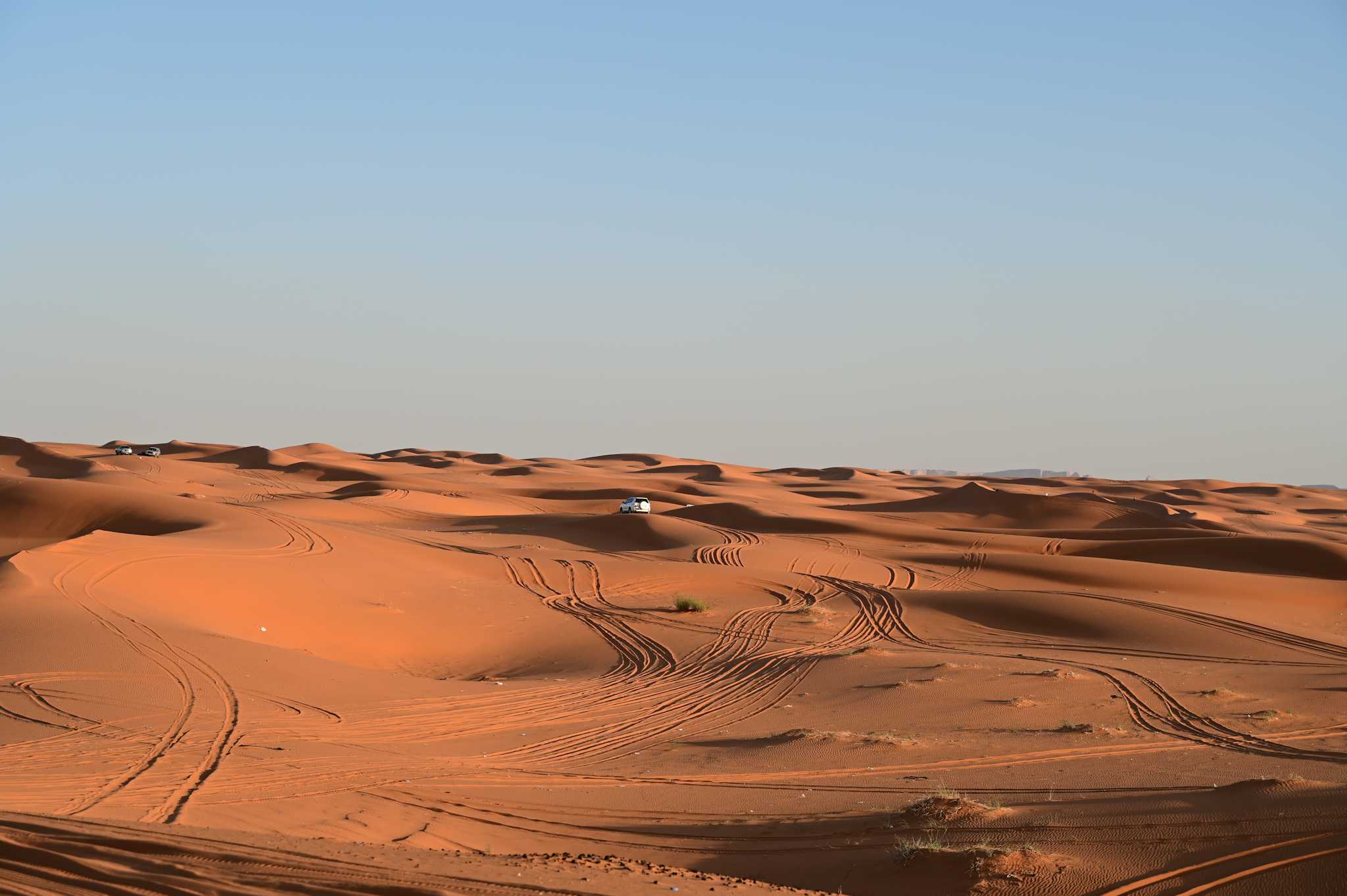 Red Sand Dunes