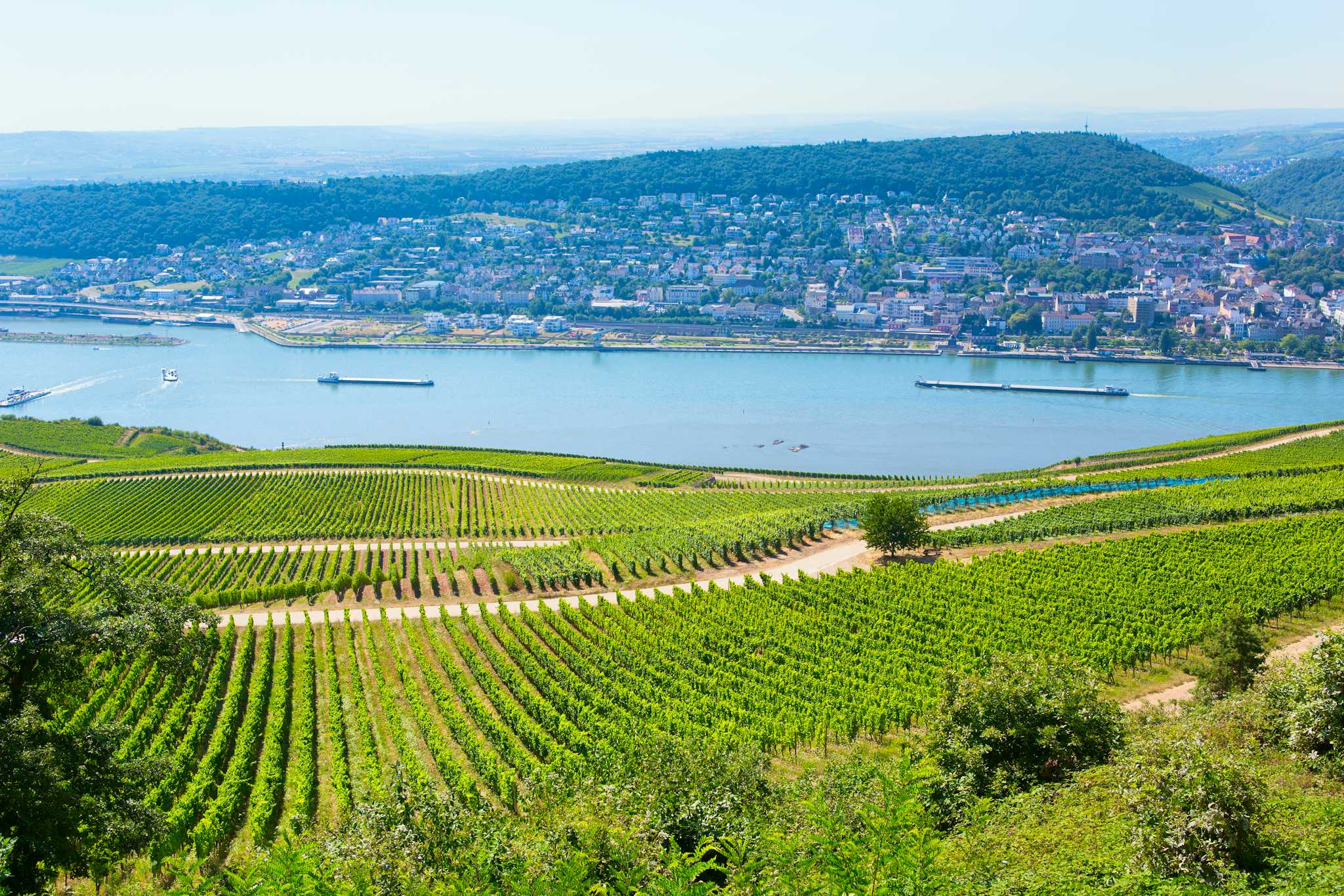 Rudesheim am Rhein