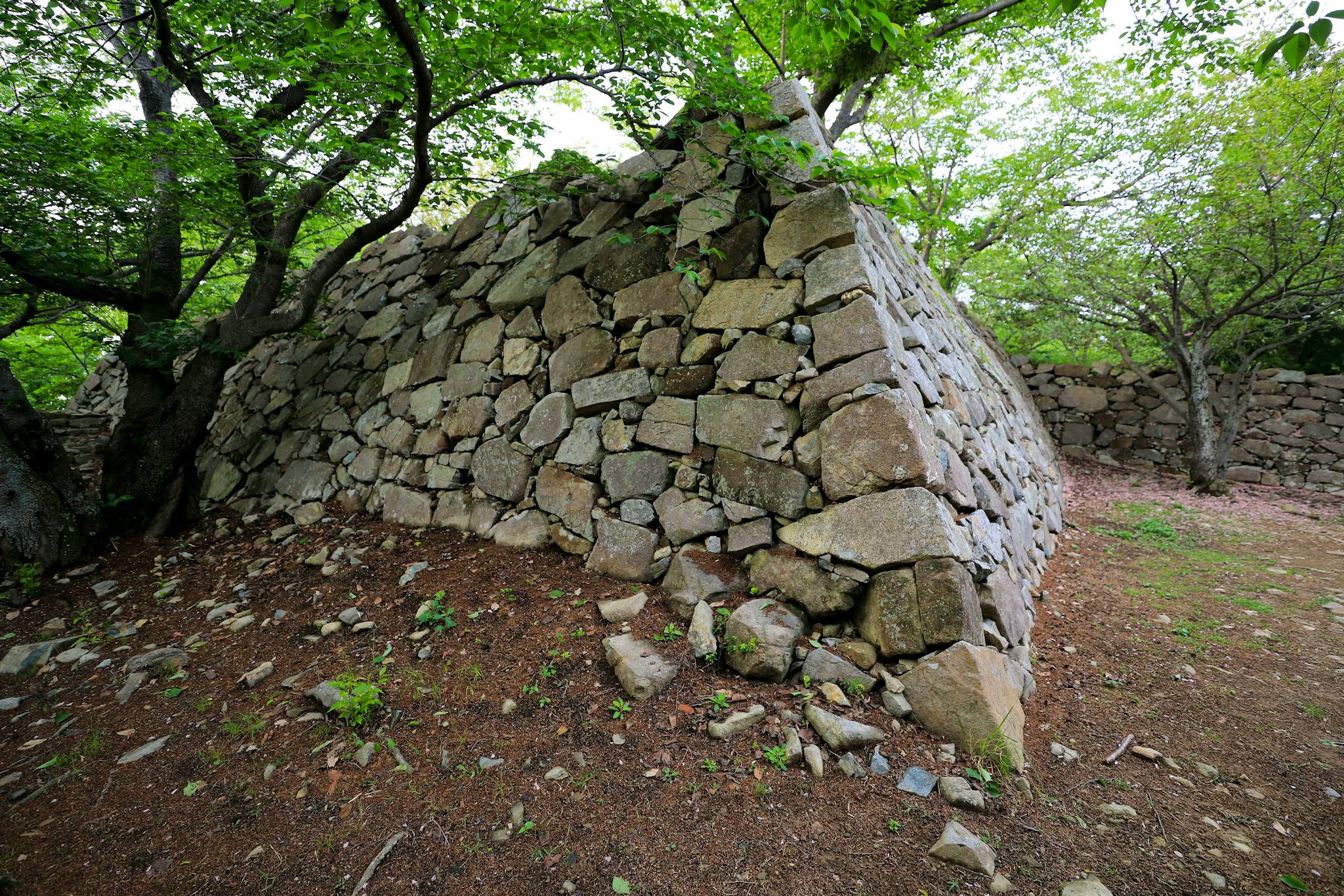 Seosaengpo Japanese Fortress