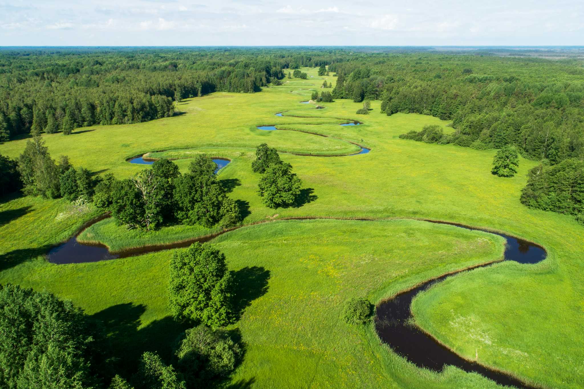 Soomaa National Park