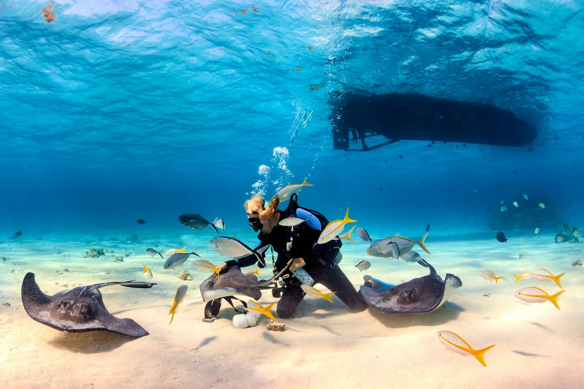 Stingray City