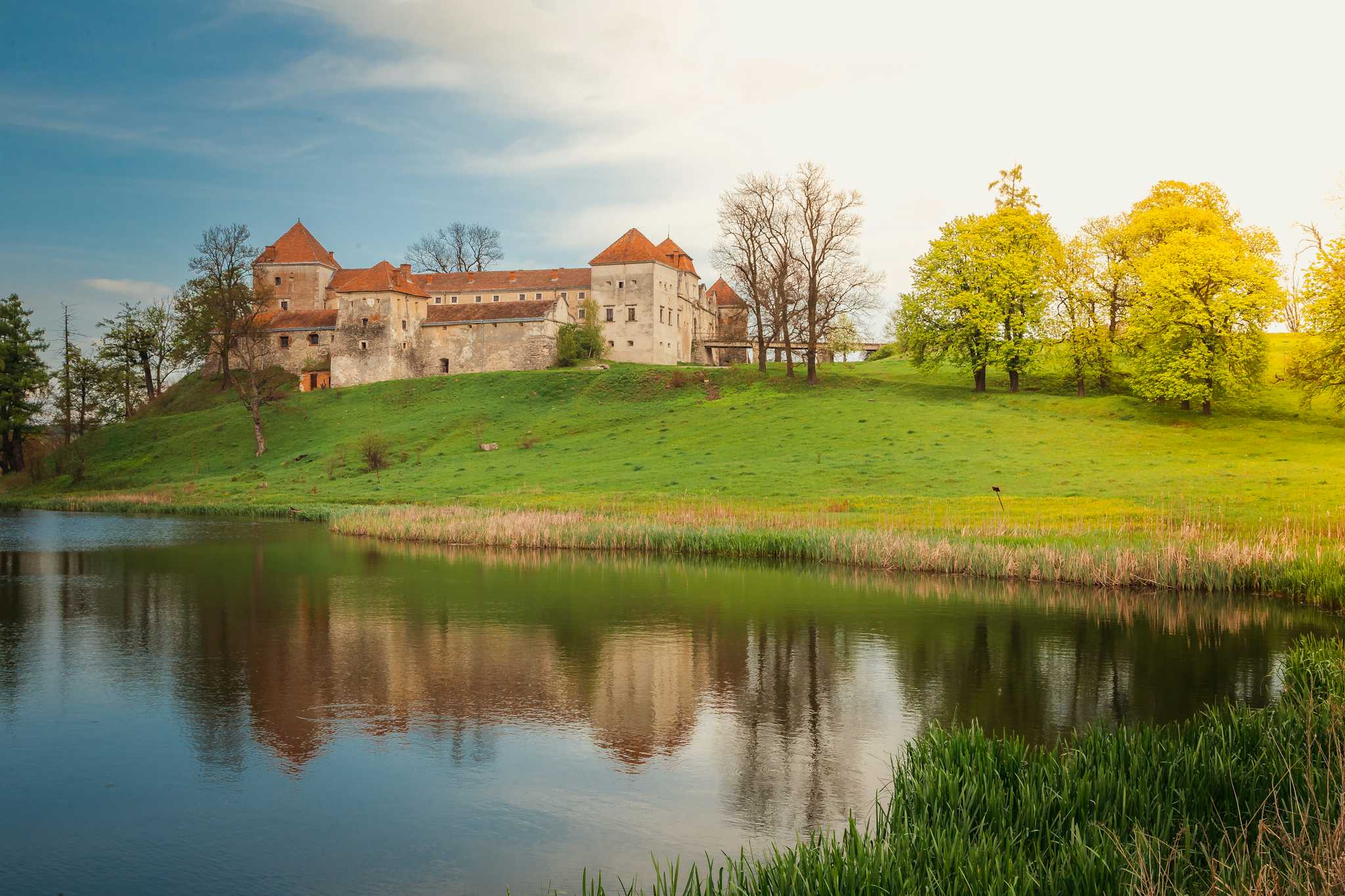 Château de Svirzh